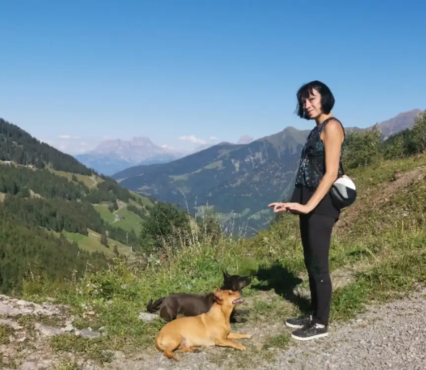 image-8