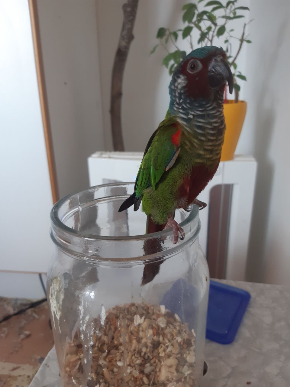 image-11