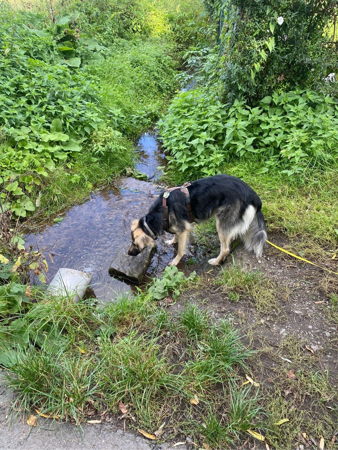 image-9
