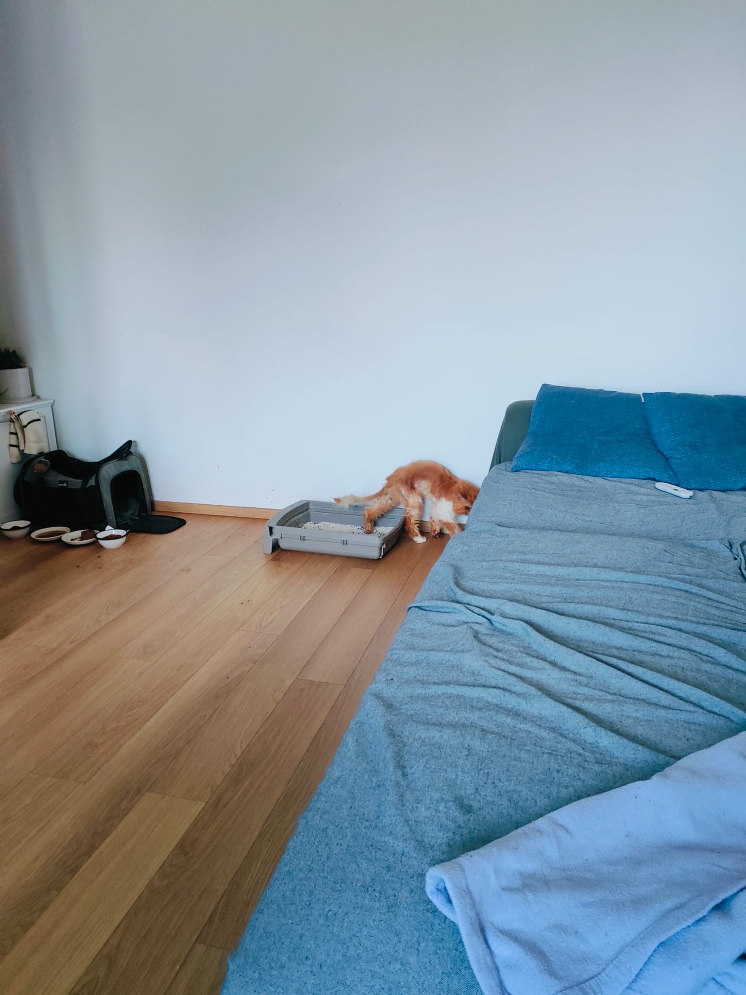 image-15