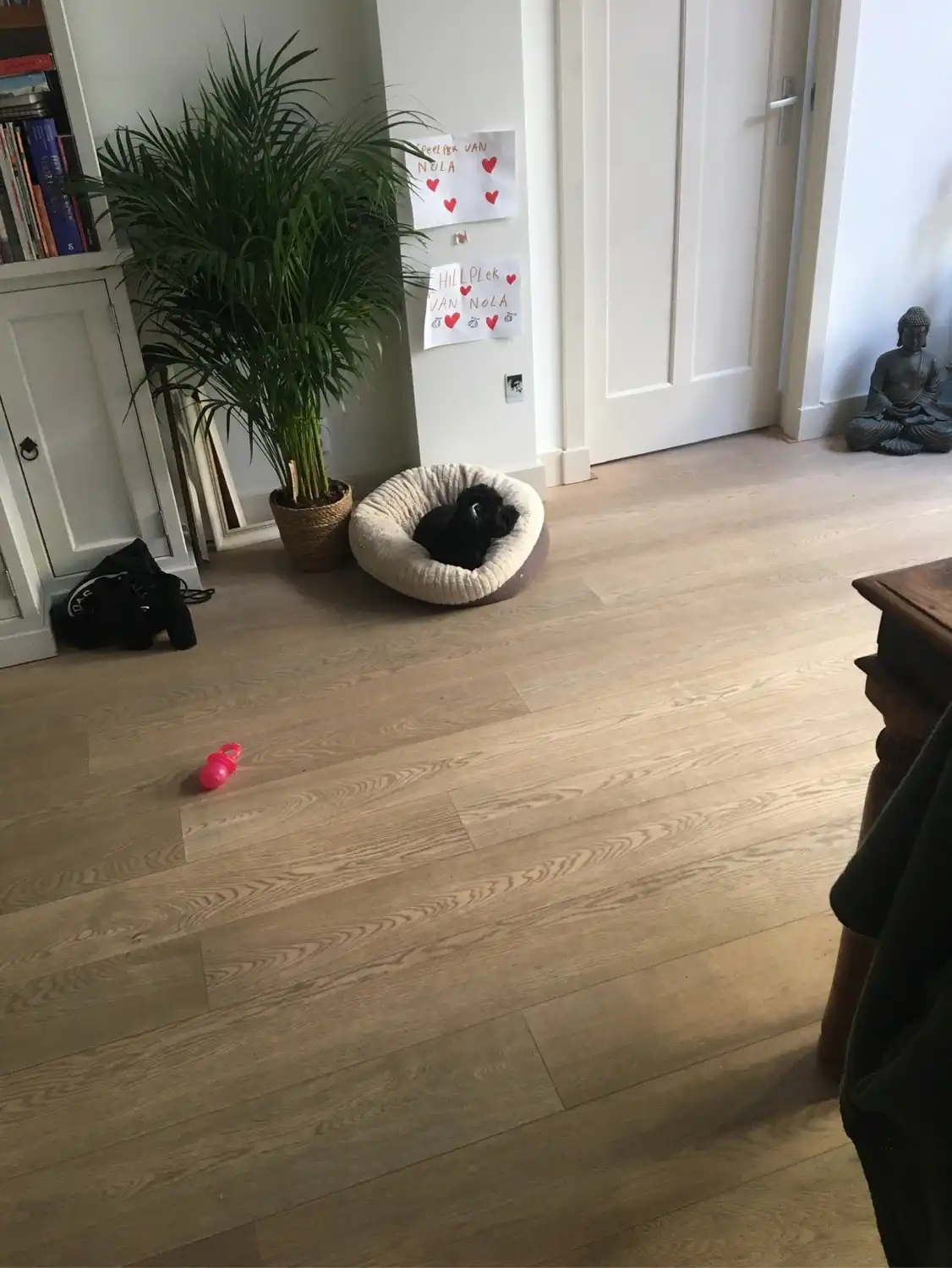 image-14