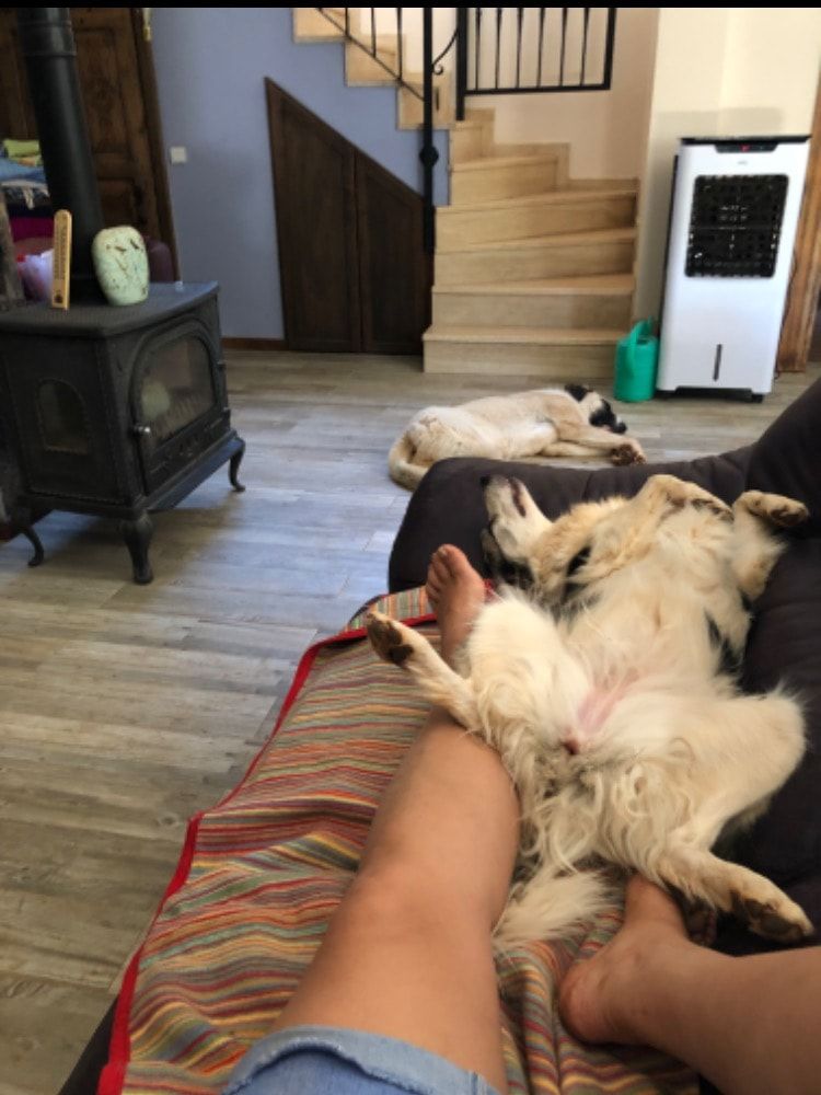 image-7