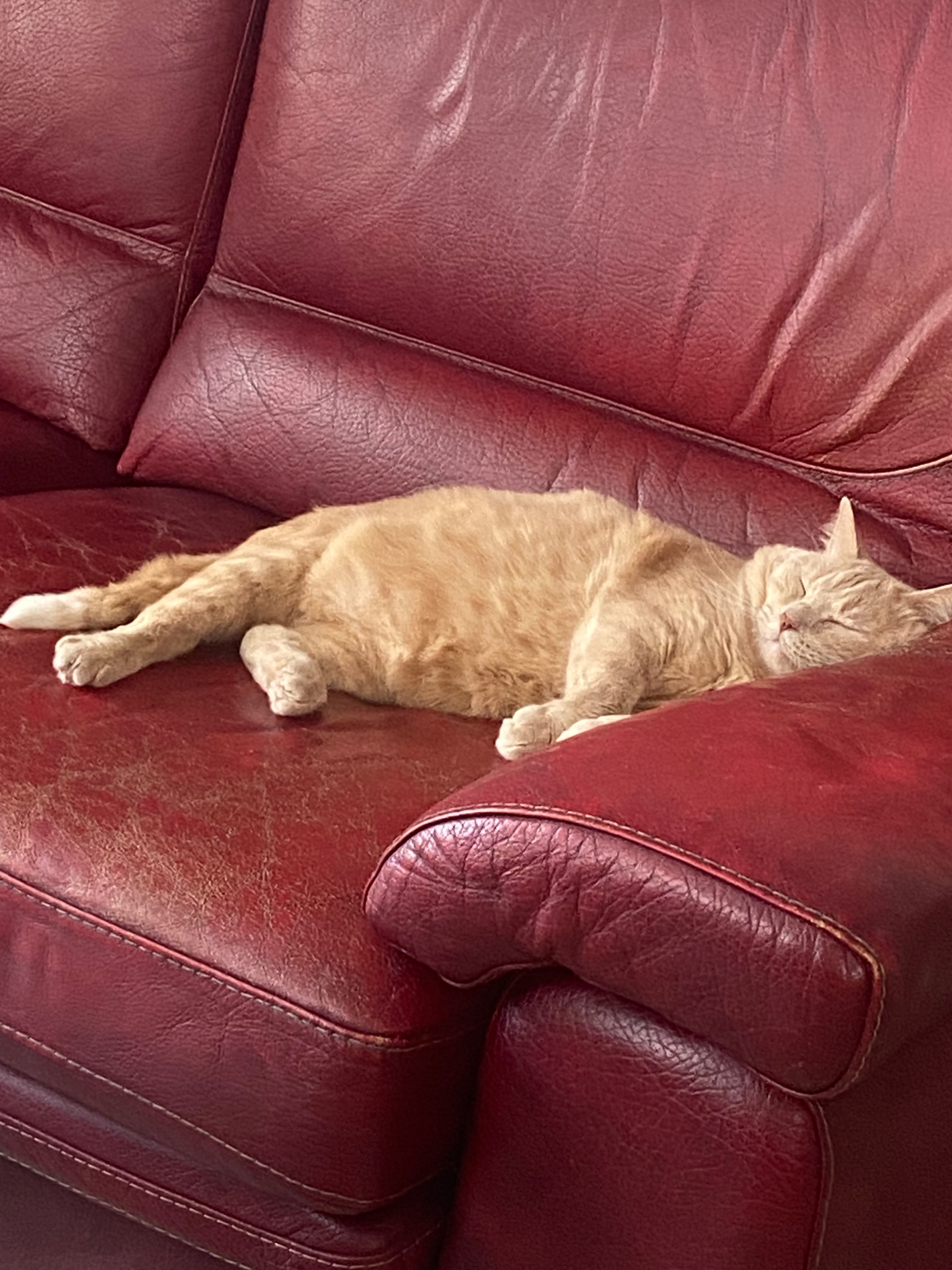 image-6