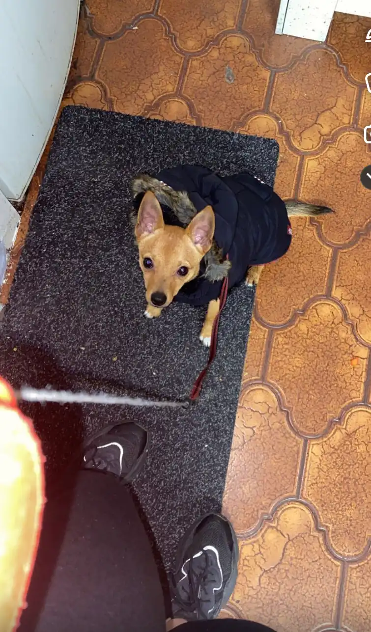 image-8