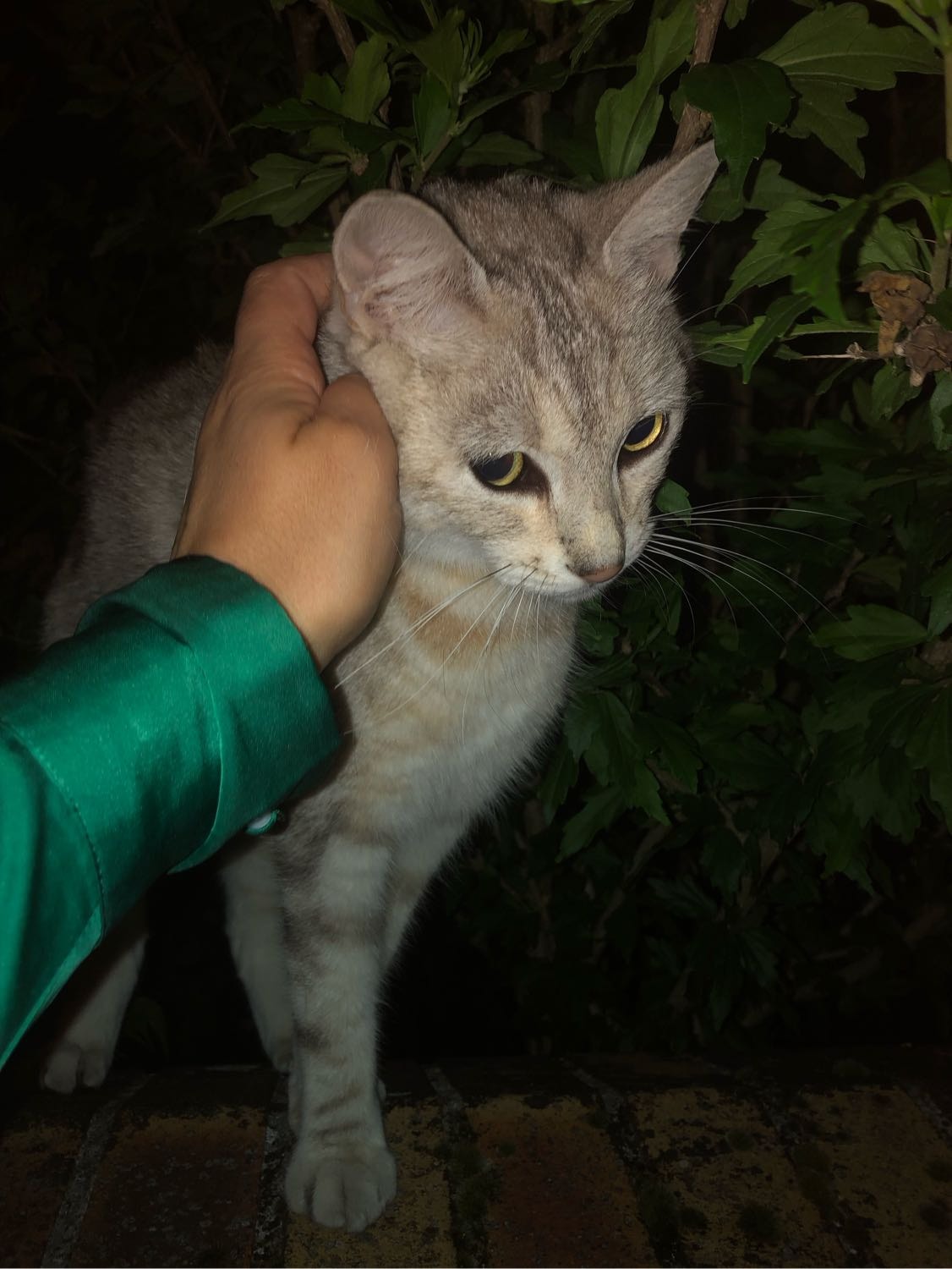 image-10