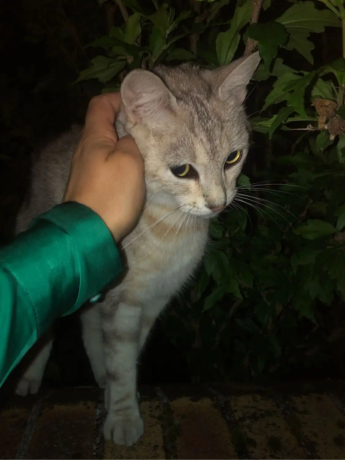 image-10