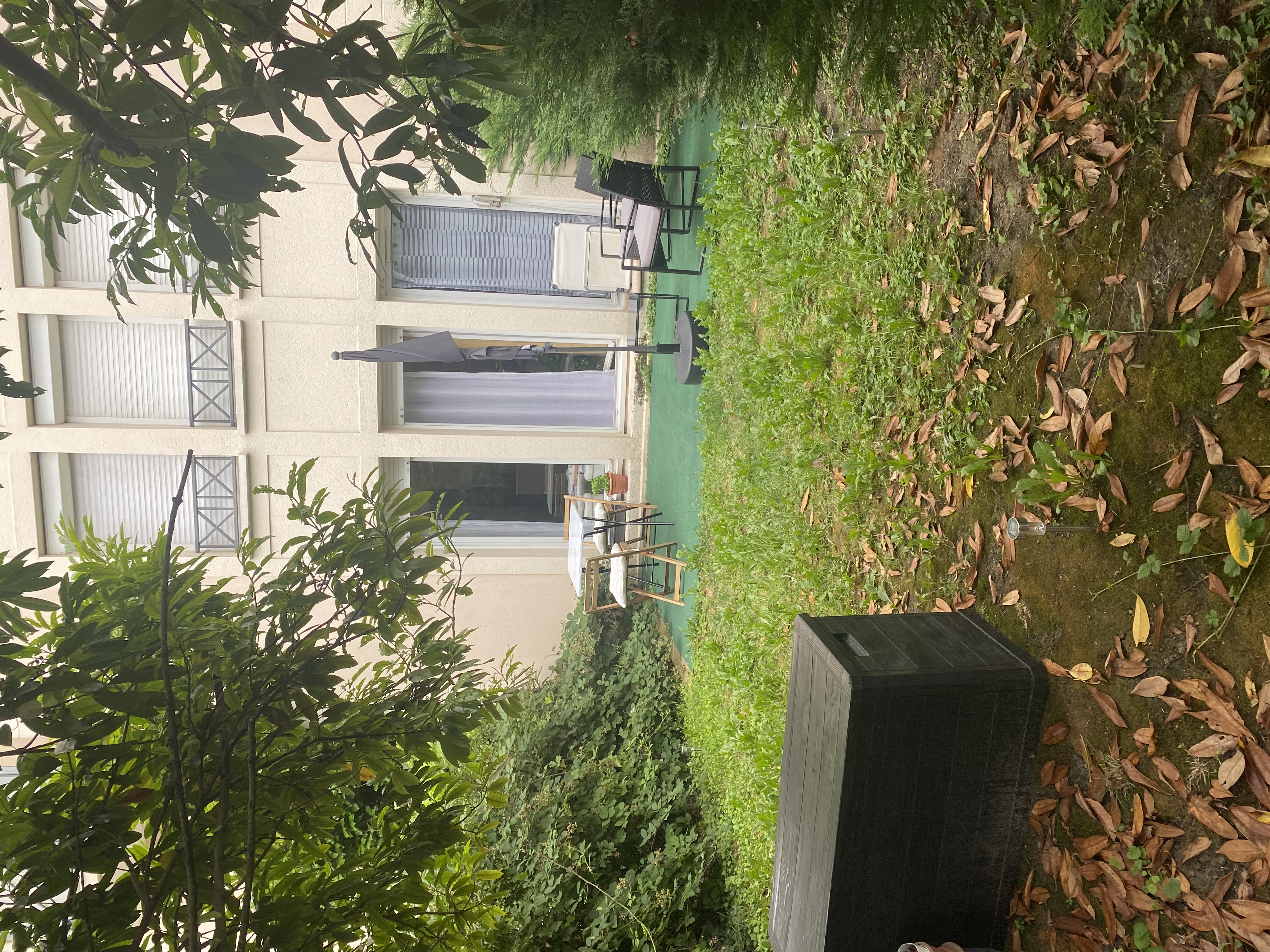 image-20