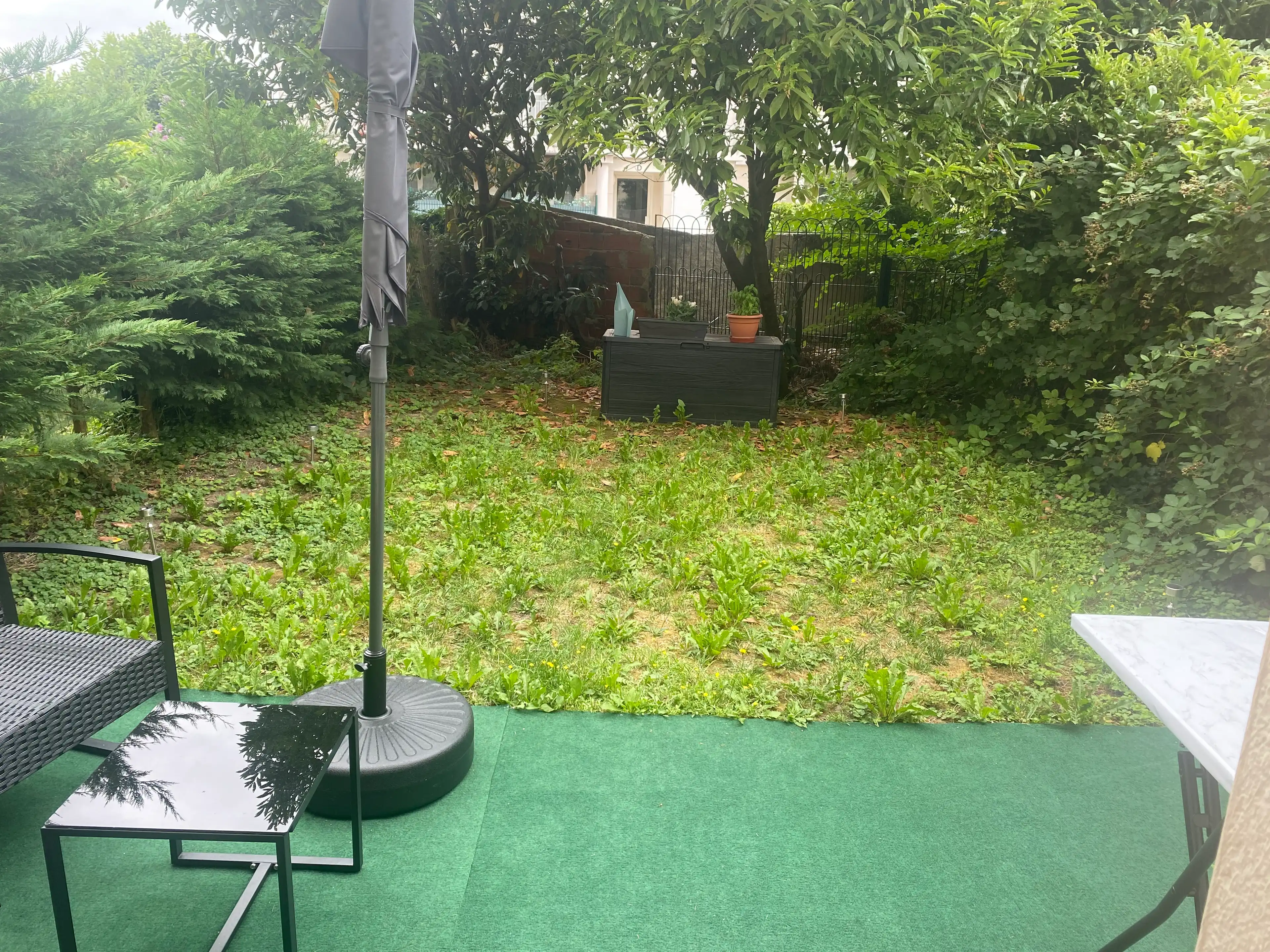 image-19