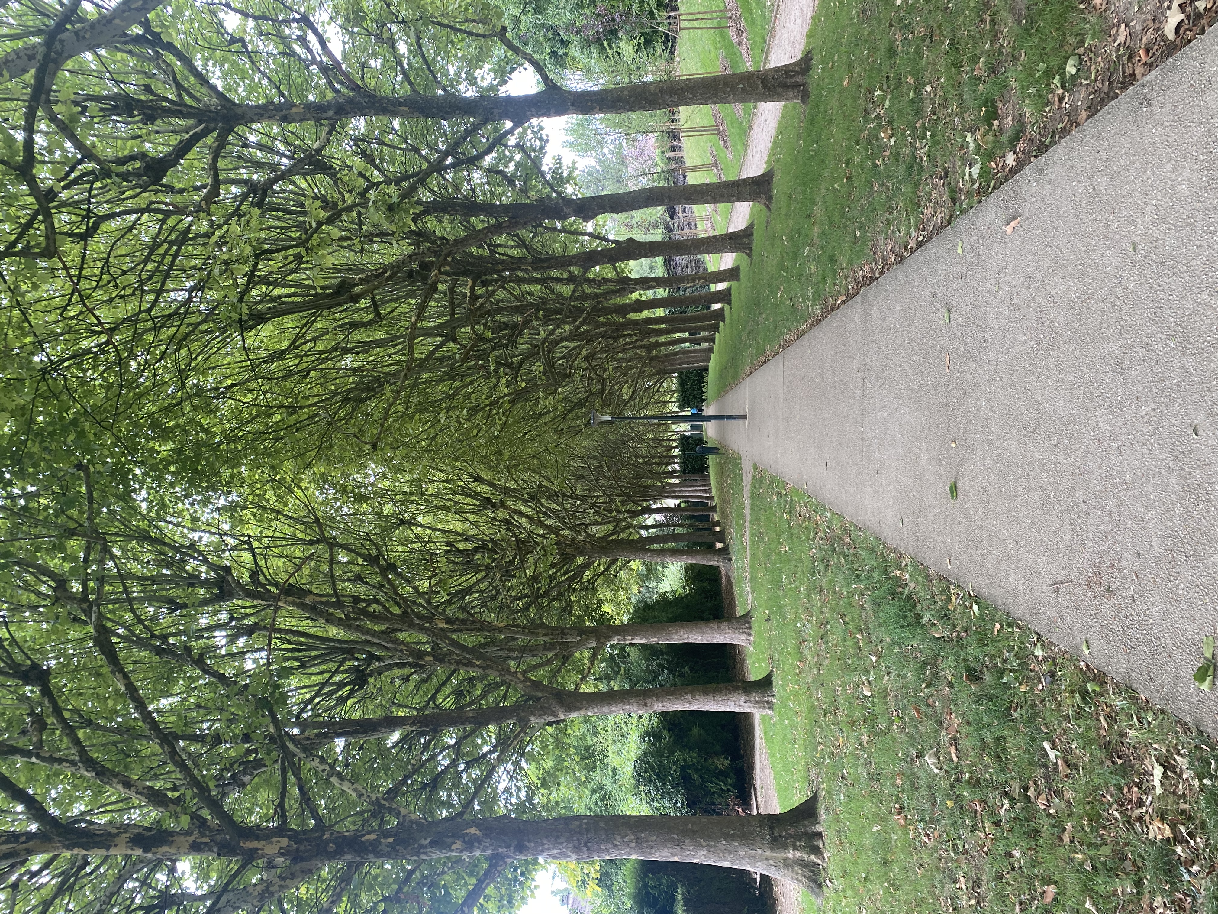 image-16