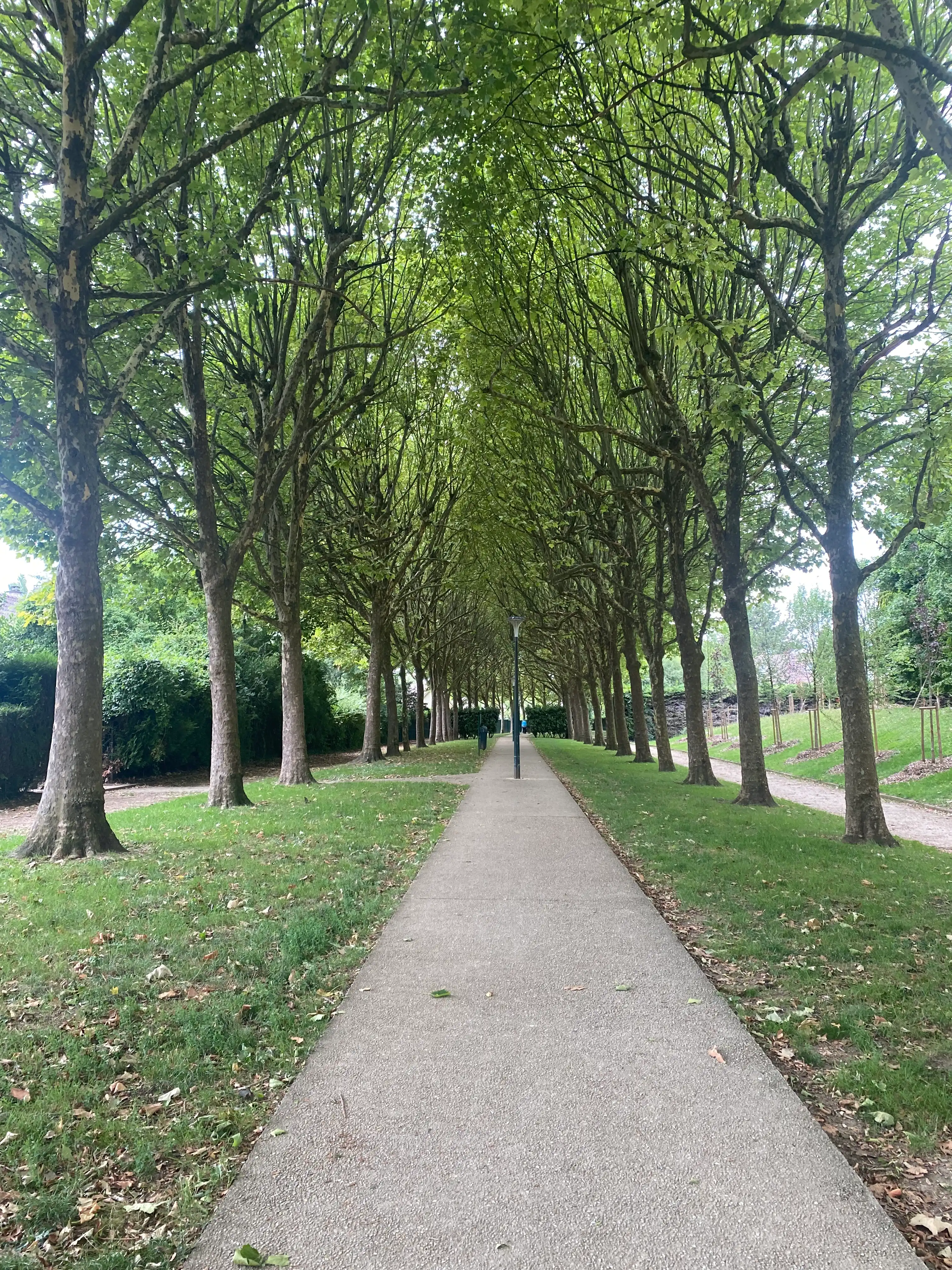 image-16