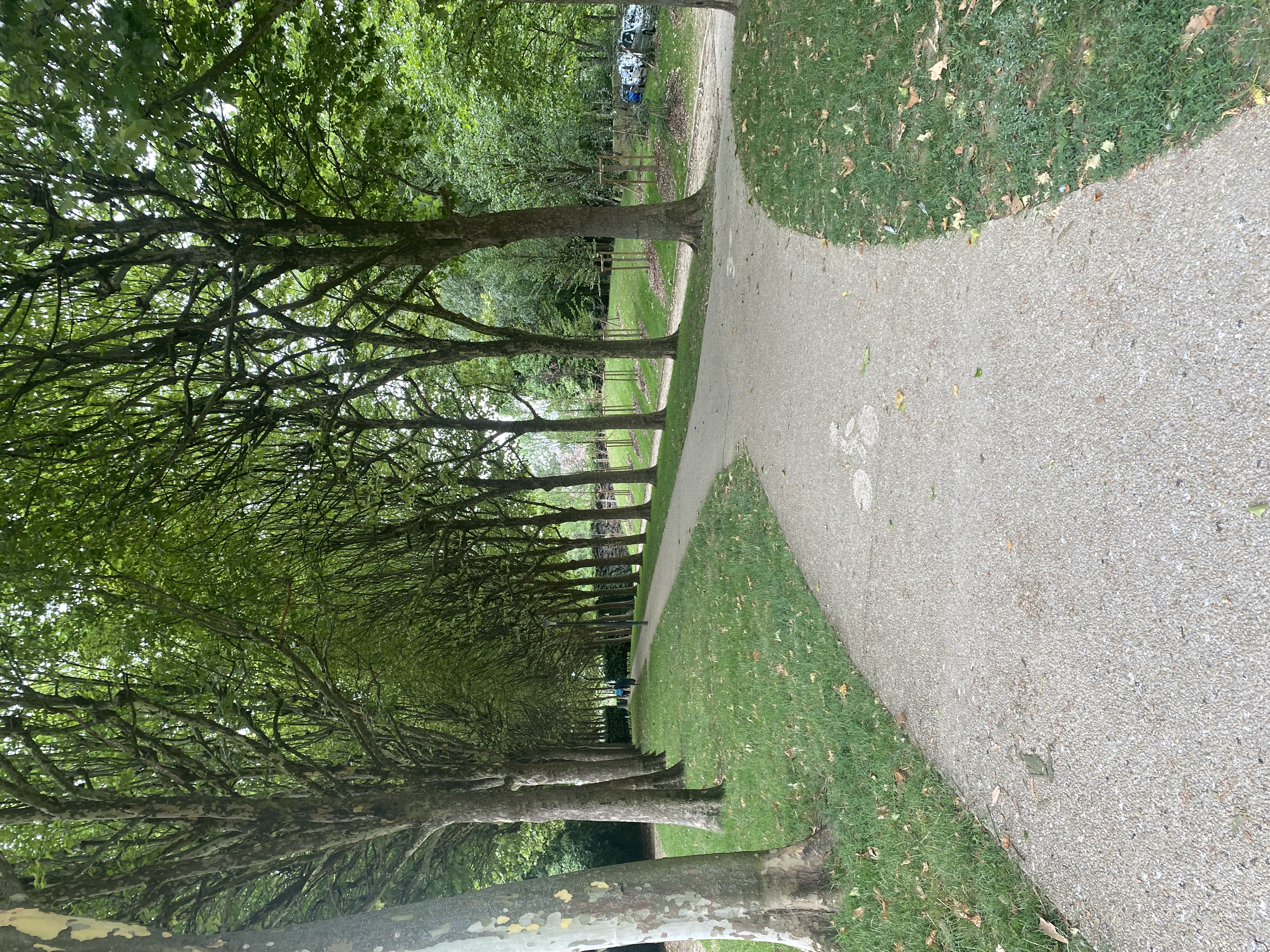 image-17