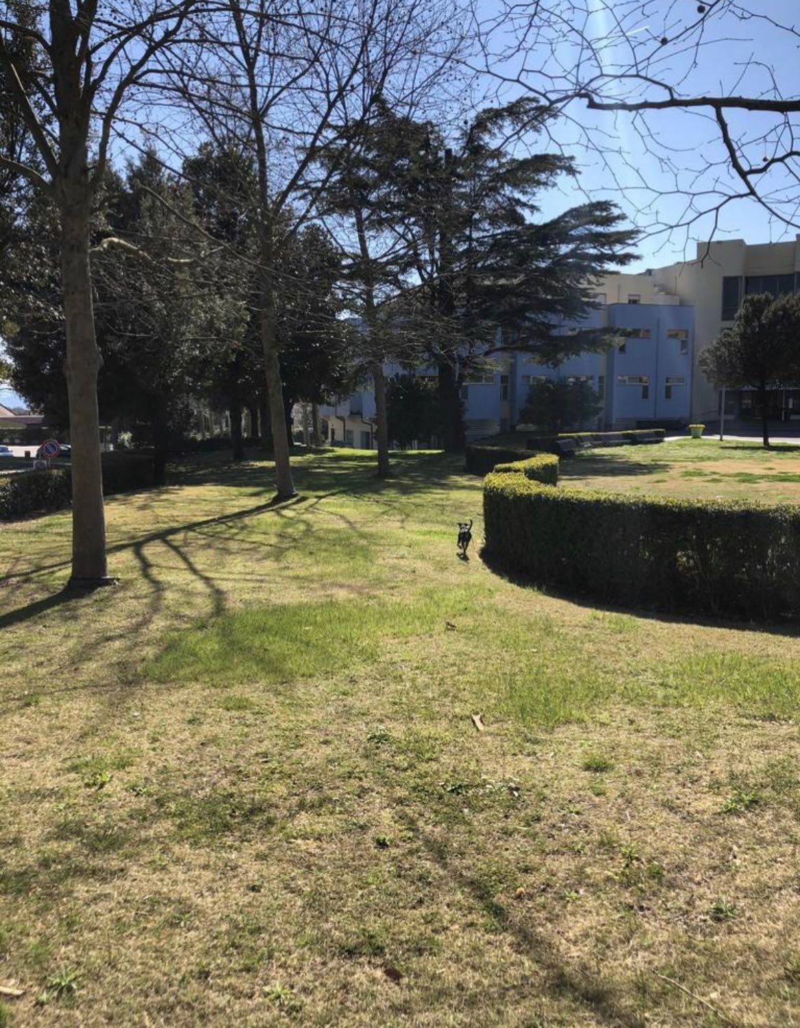 image-8
