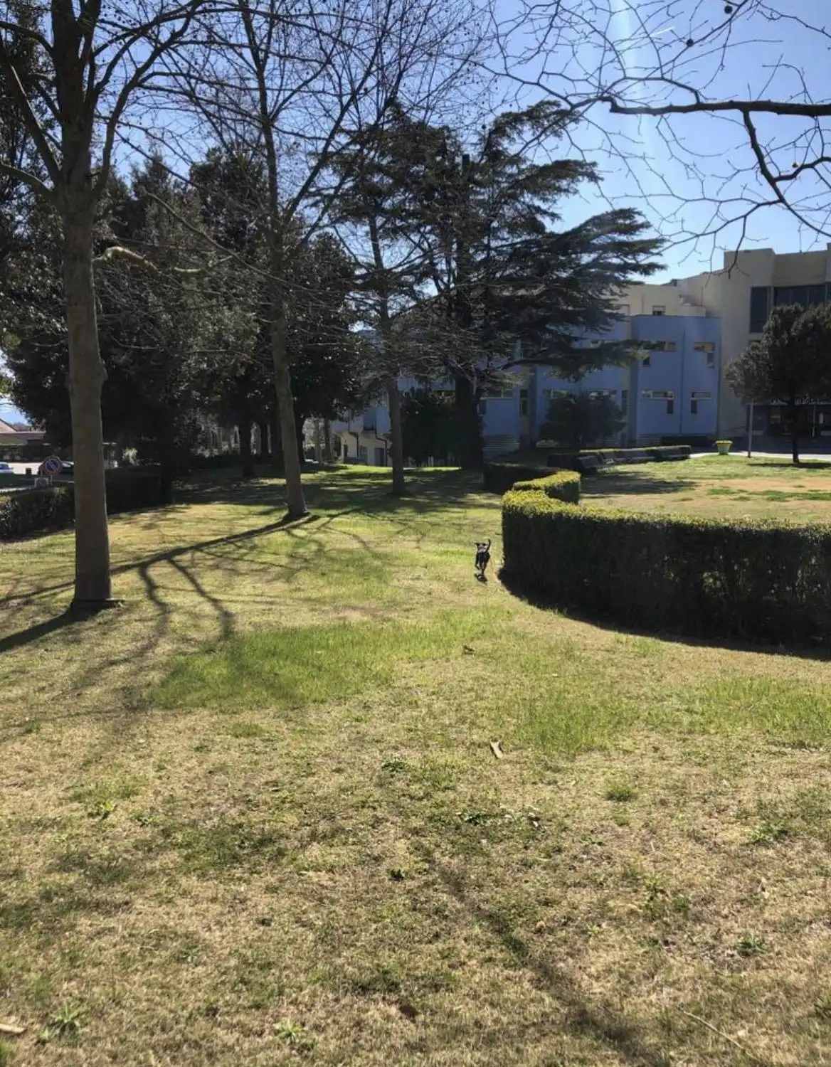 image-8