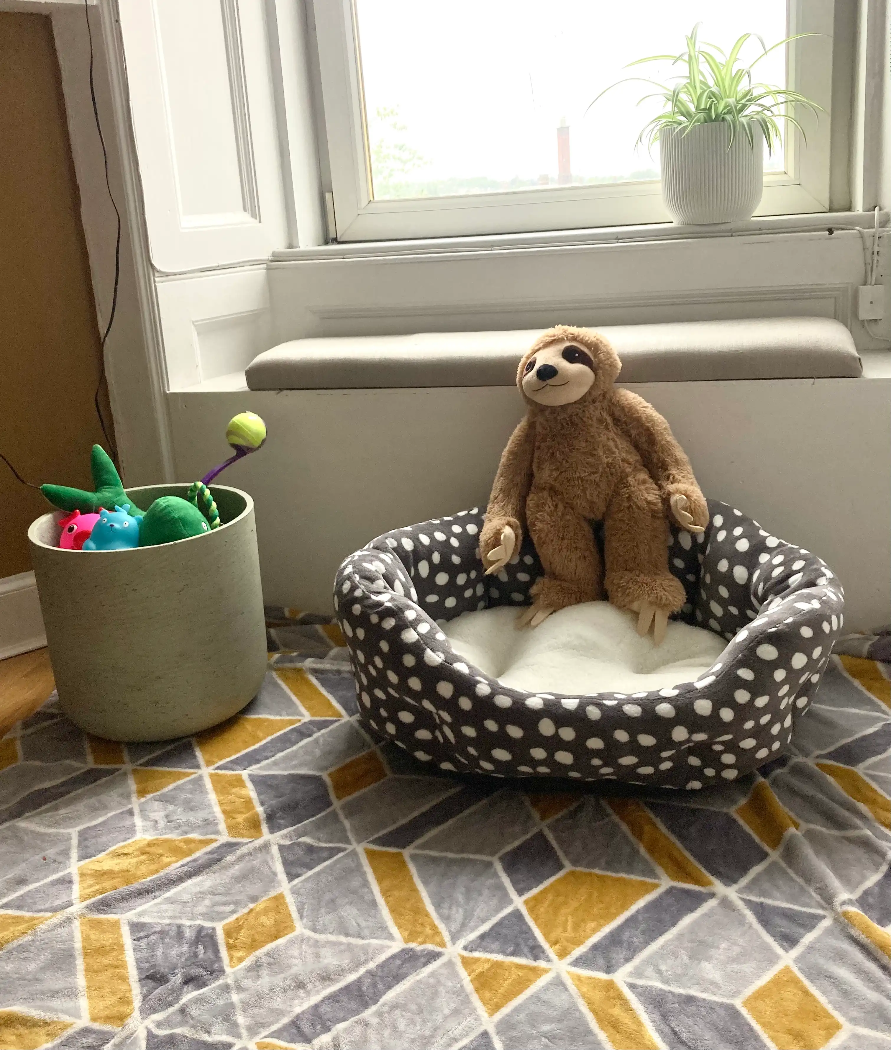 image-12