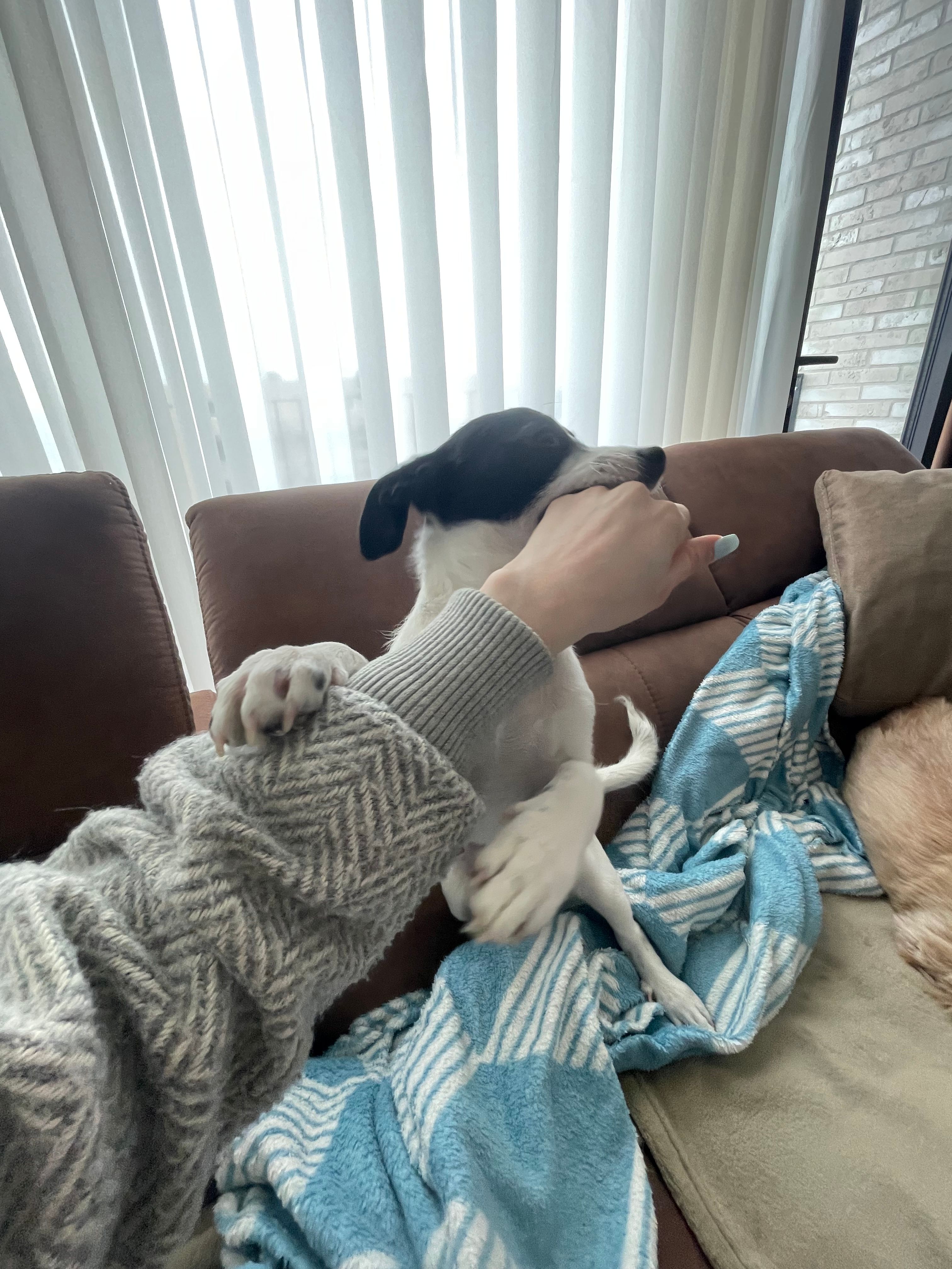 image-9
