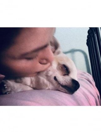 image-2