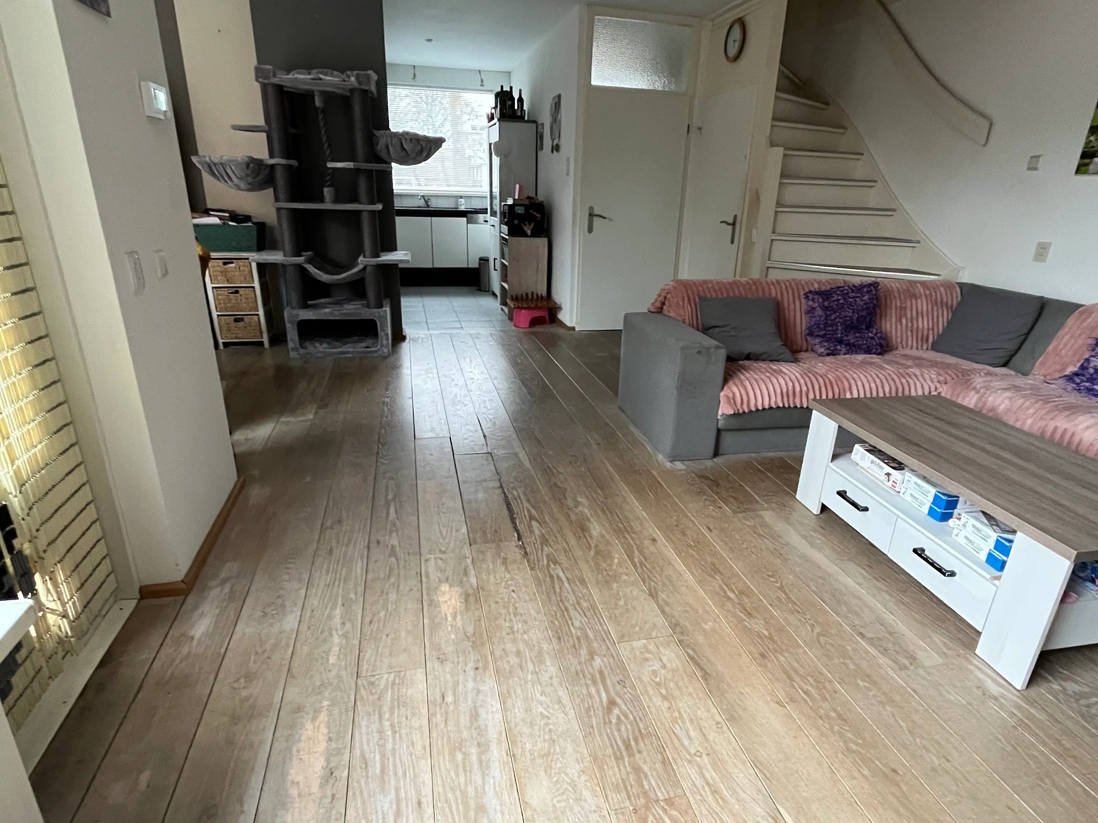 image-19