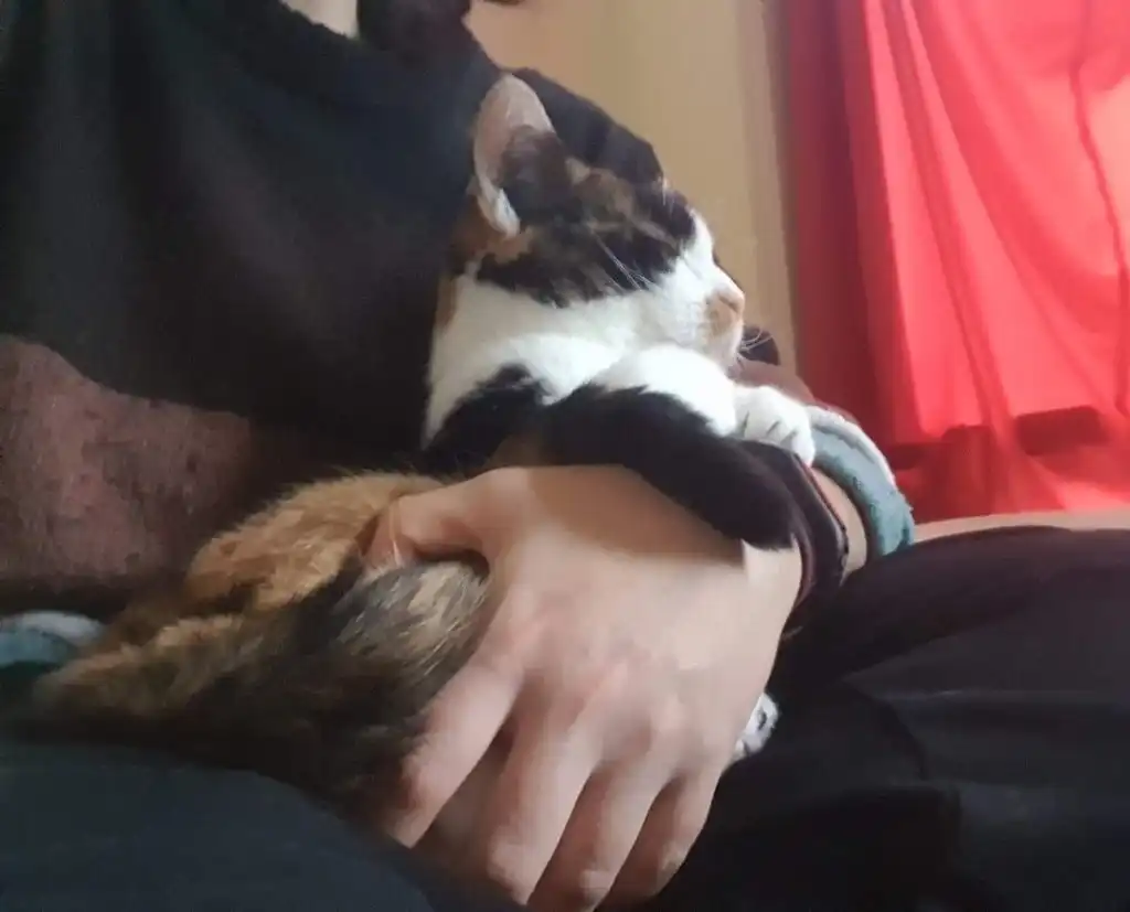 image-6