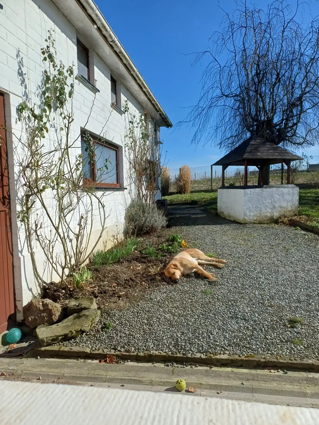 image-19