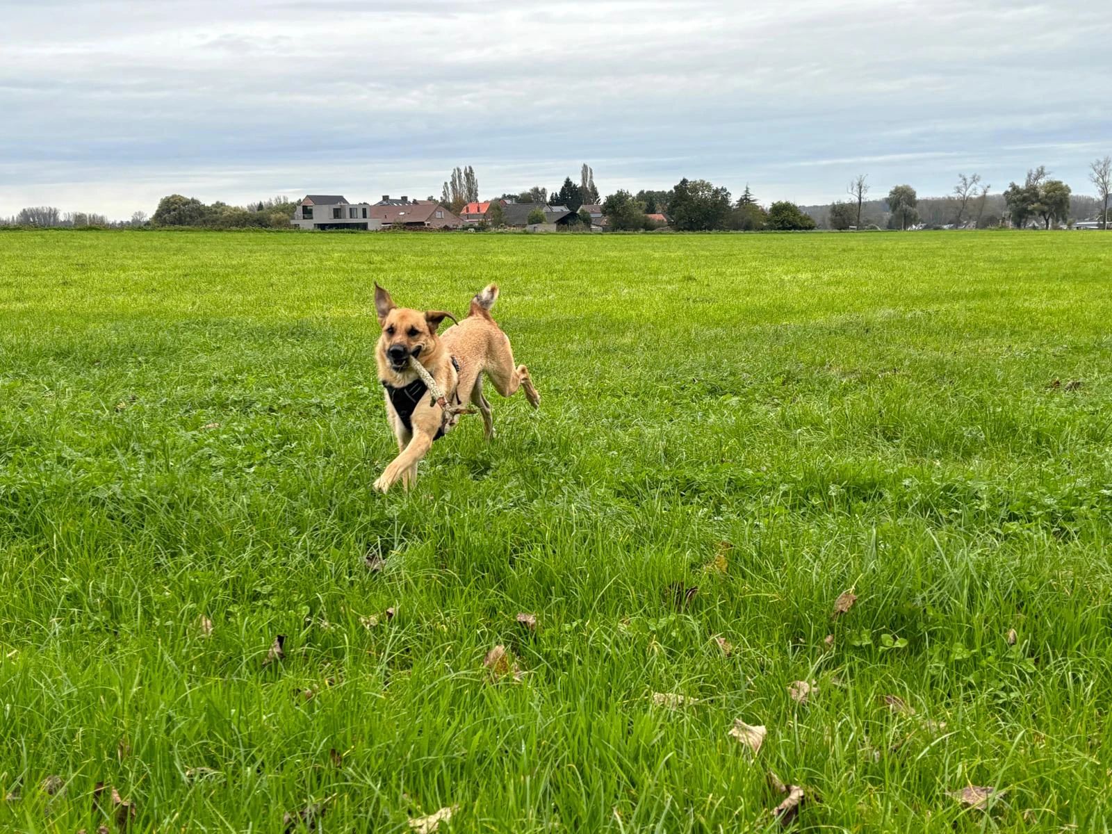 image-14
