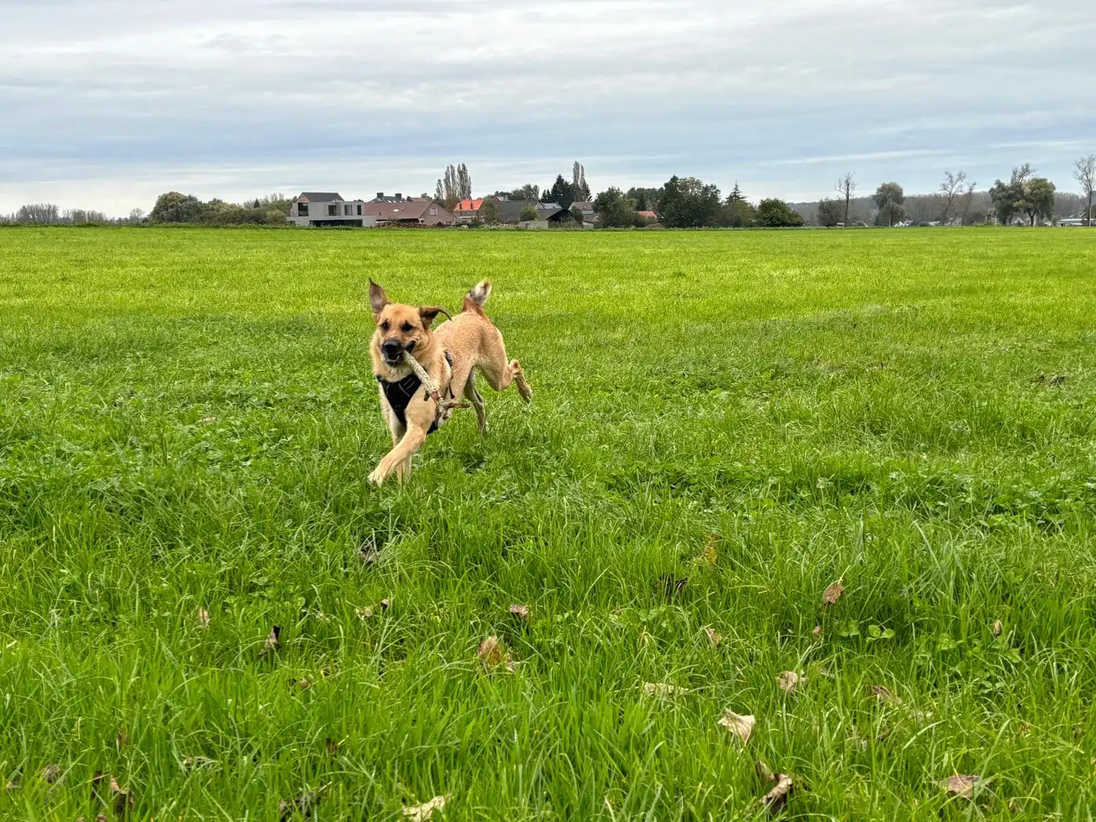 image-14