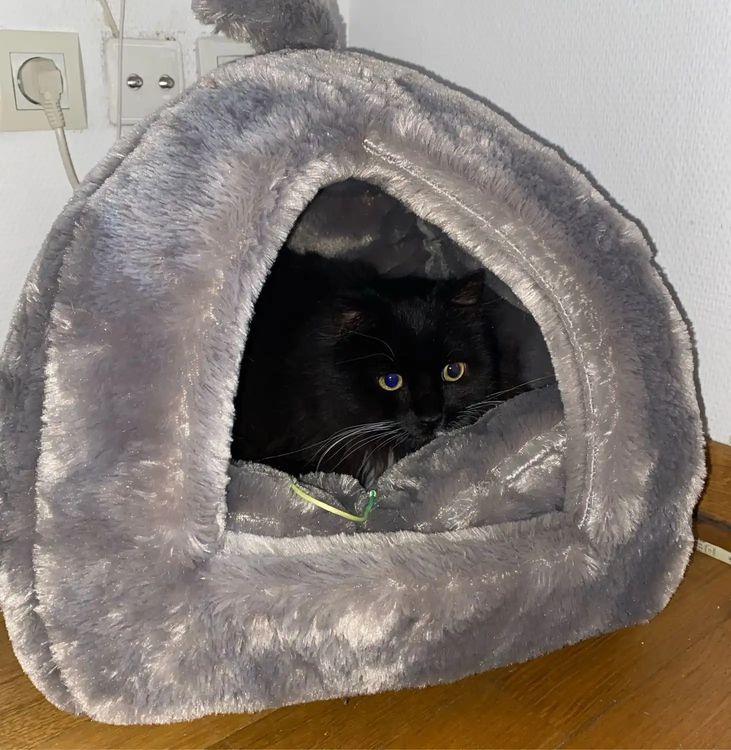 image-11