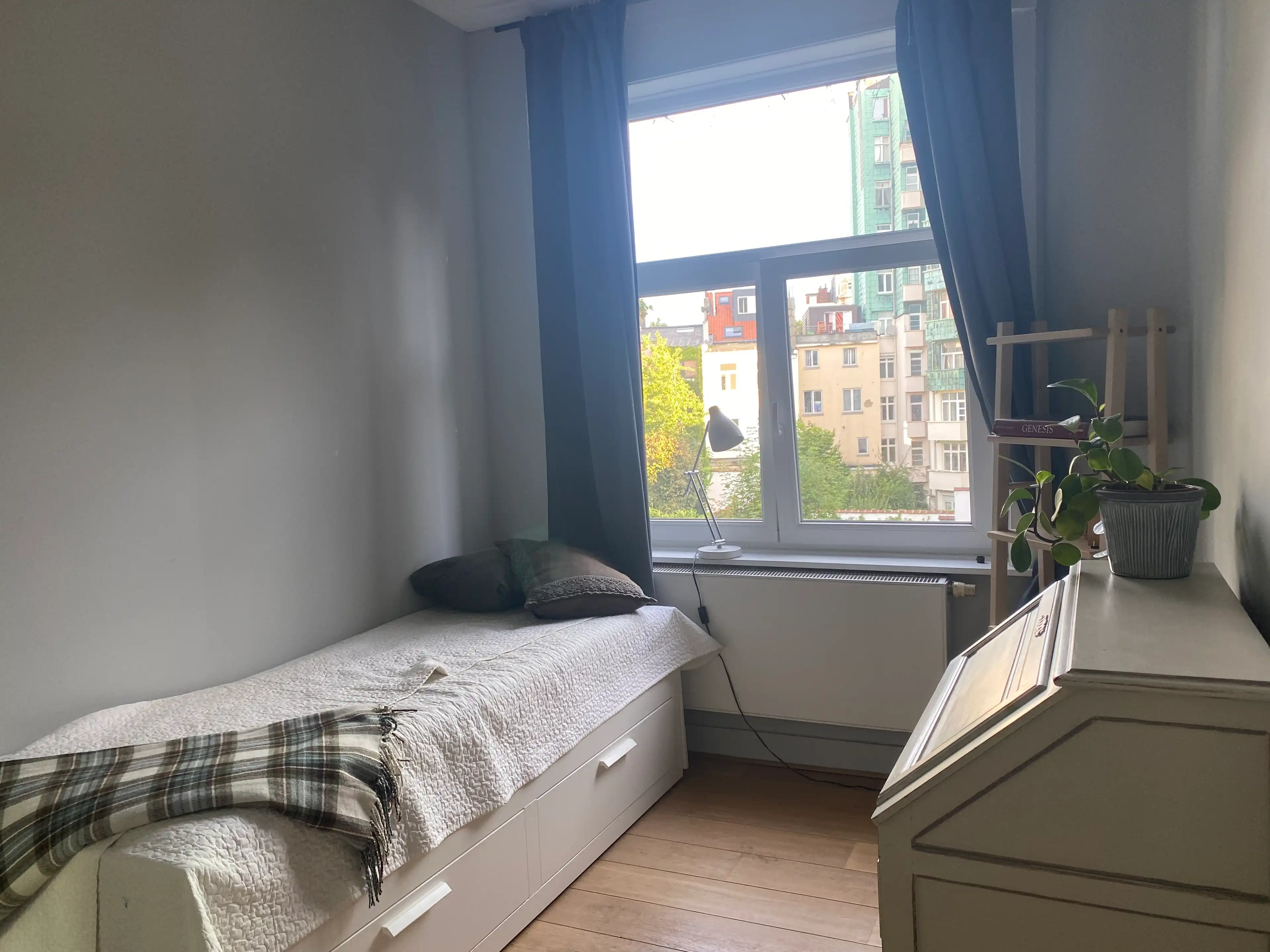 image-13