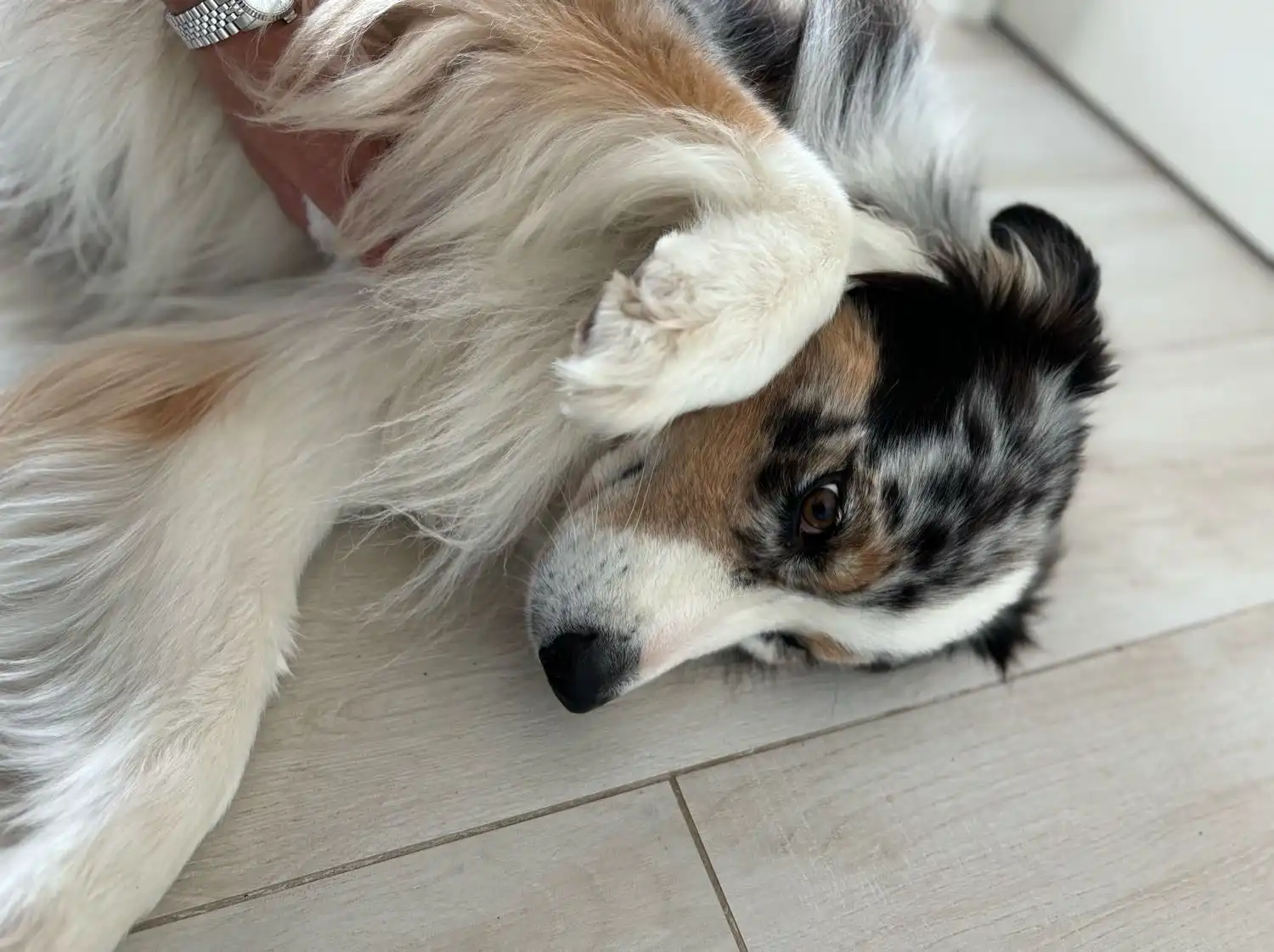 image-6
