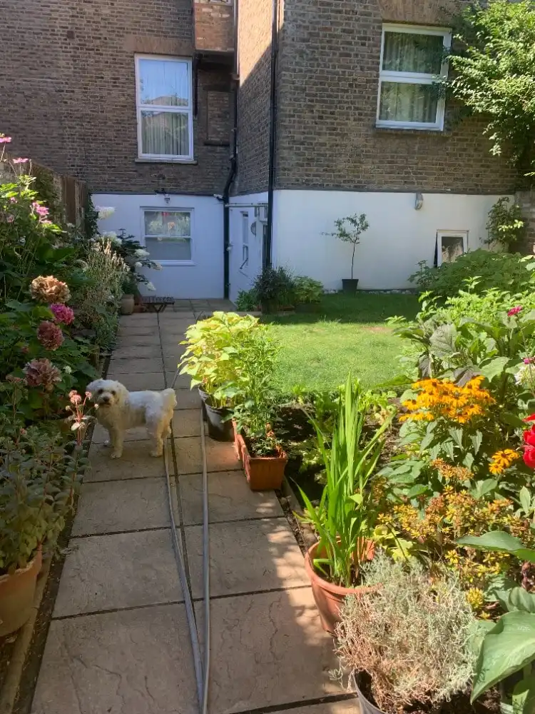 image-26