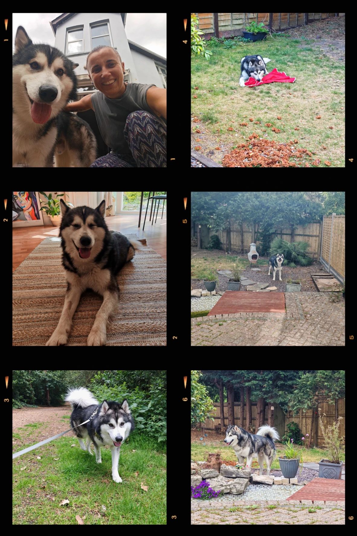 image-2