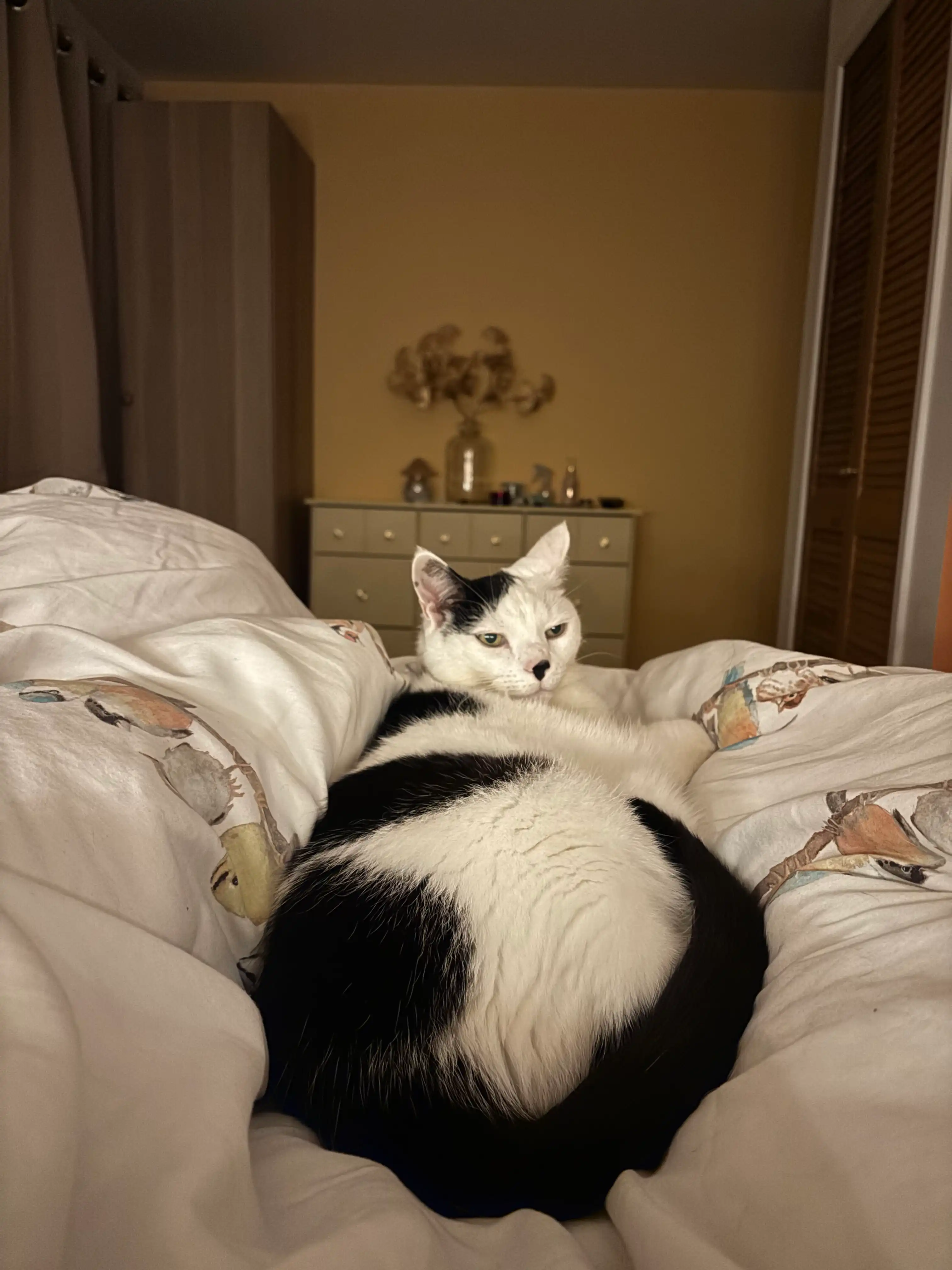 image-16