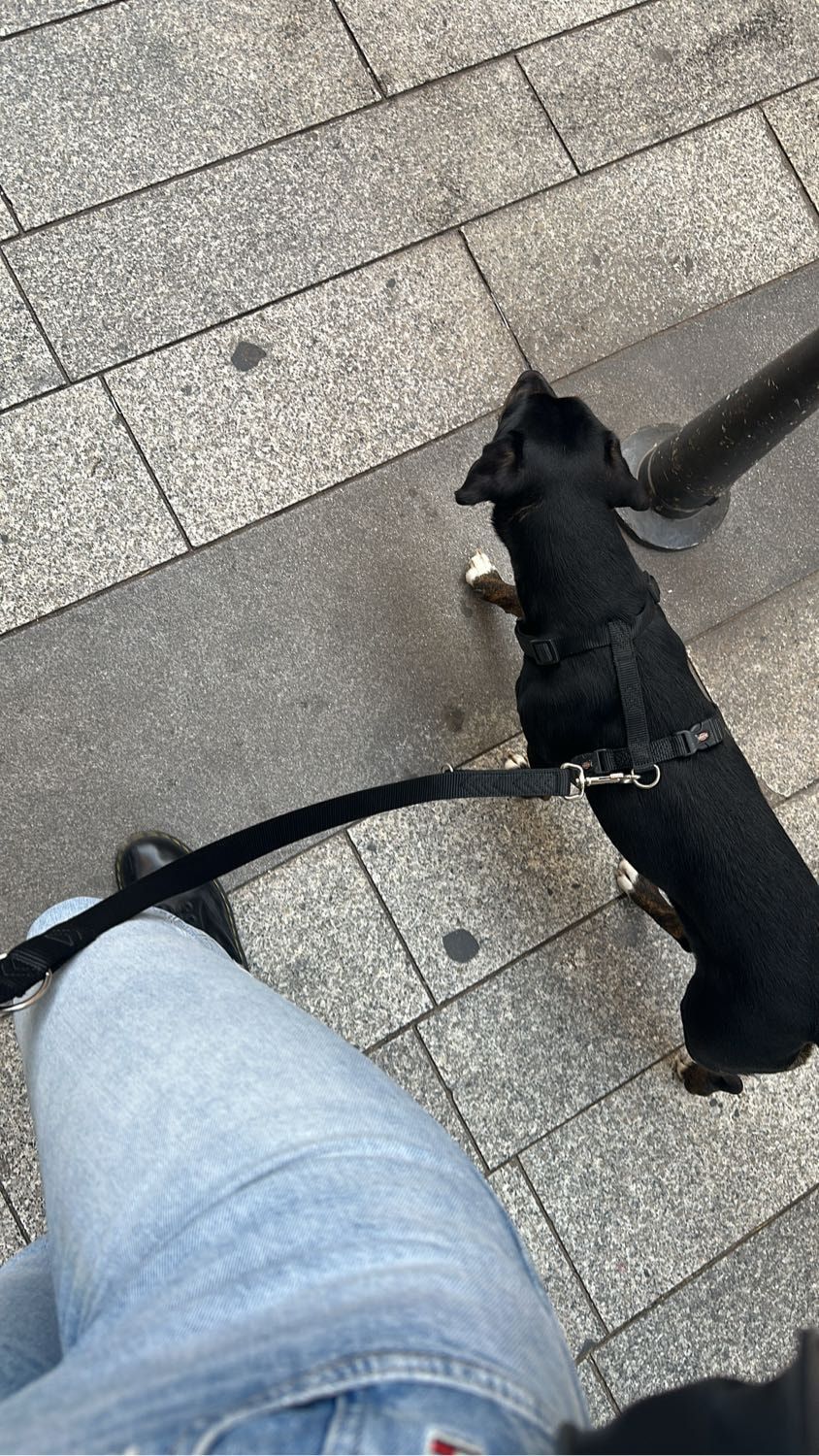 image-15