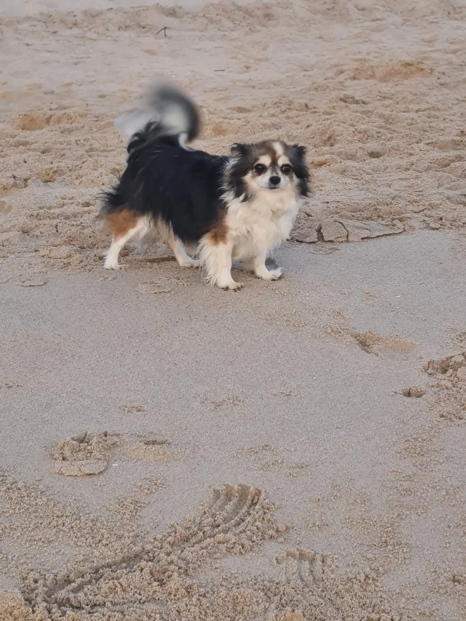 image-5