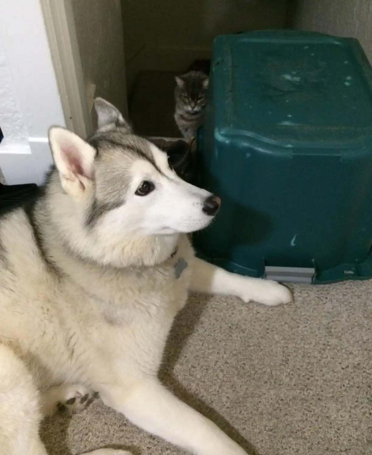 image-6