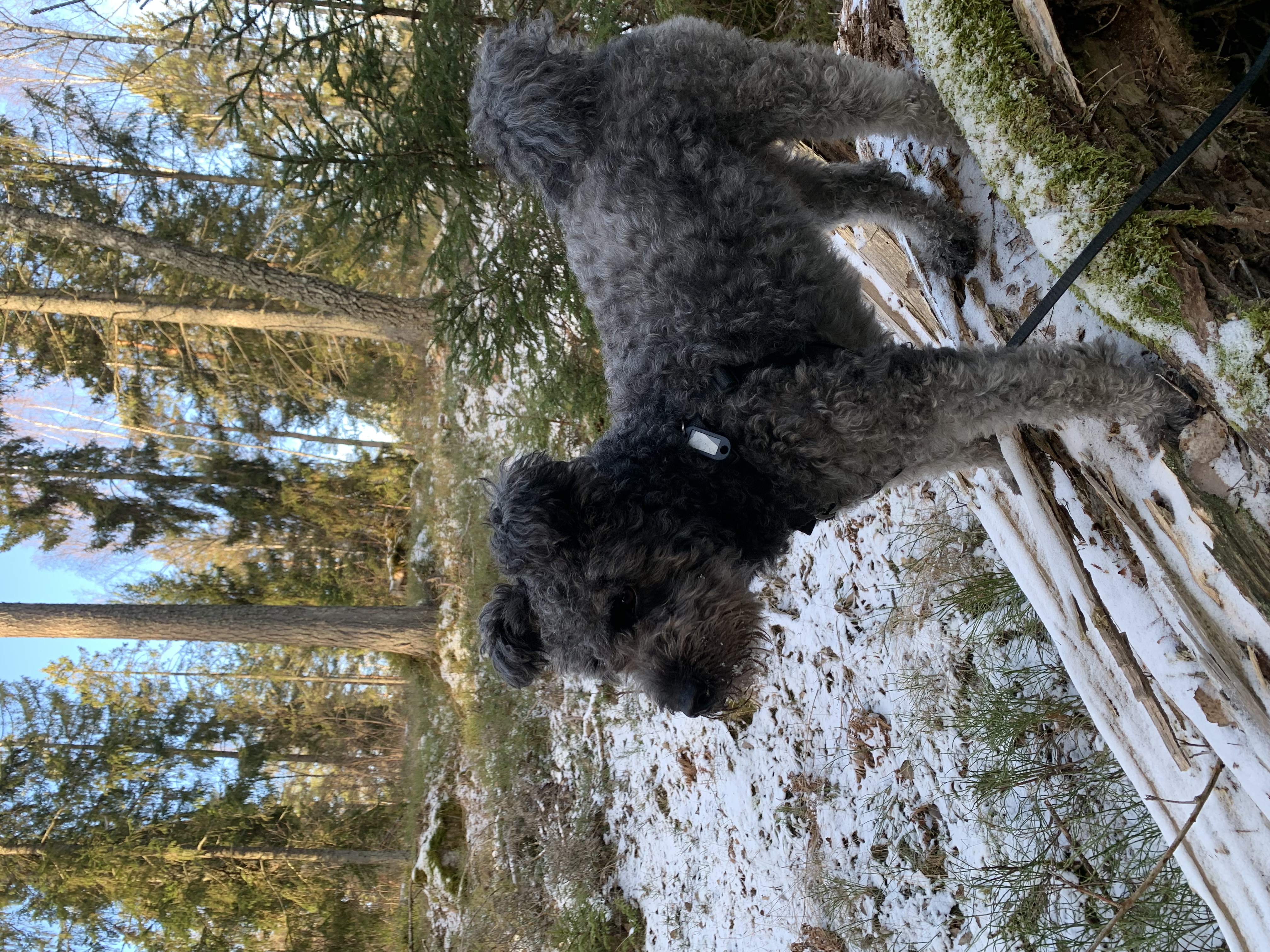 image-4