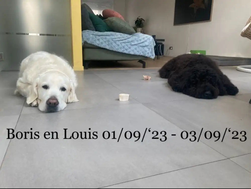 image-48