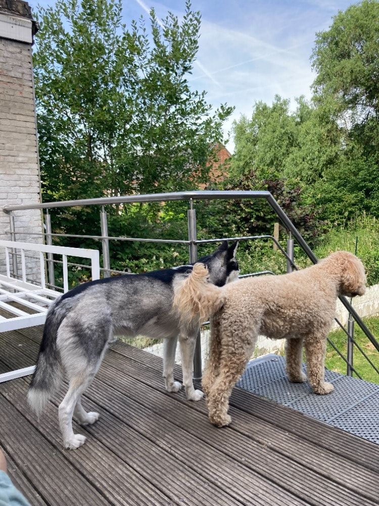 image-26