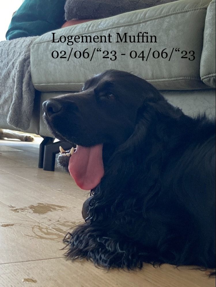 image-17