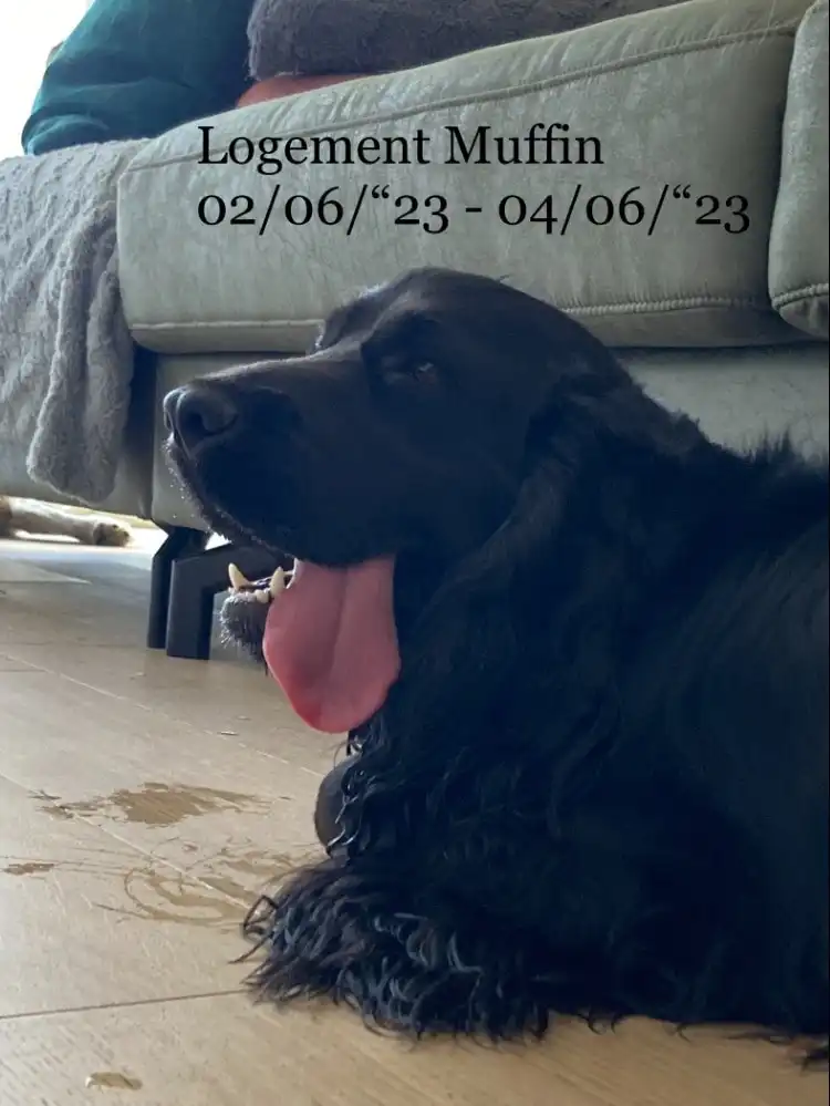 image-17