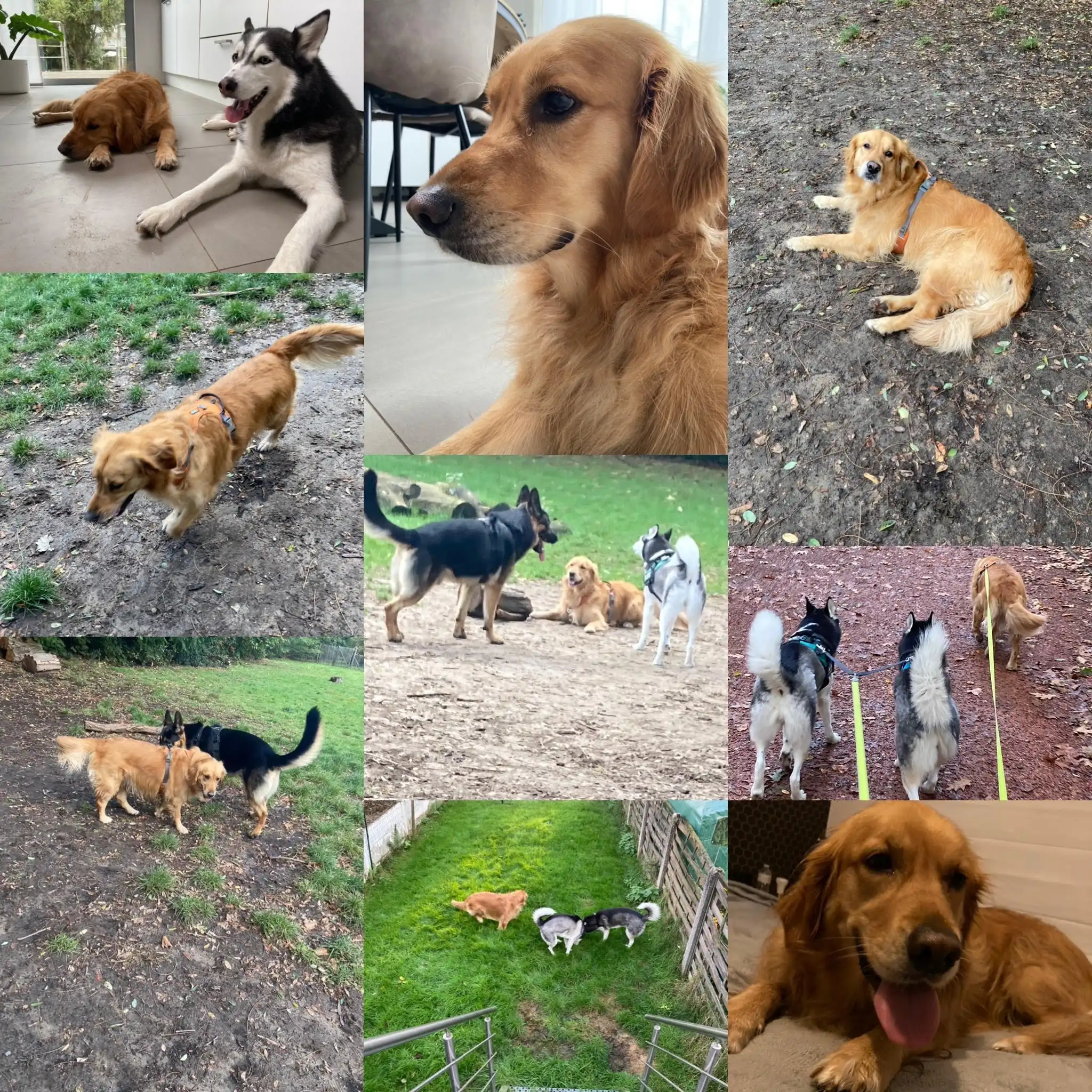 image-69