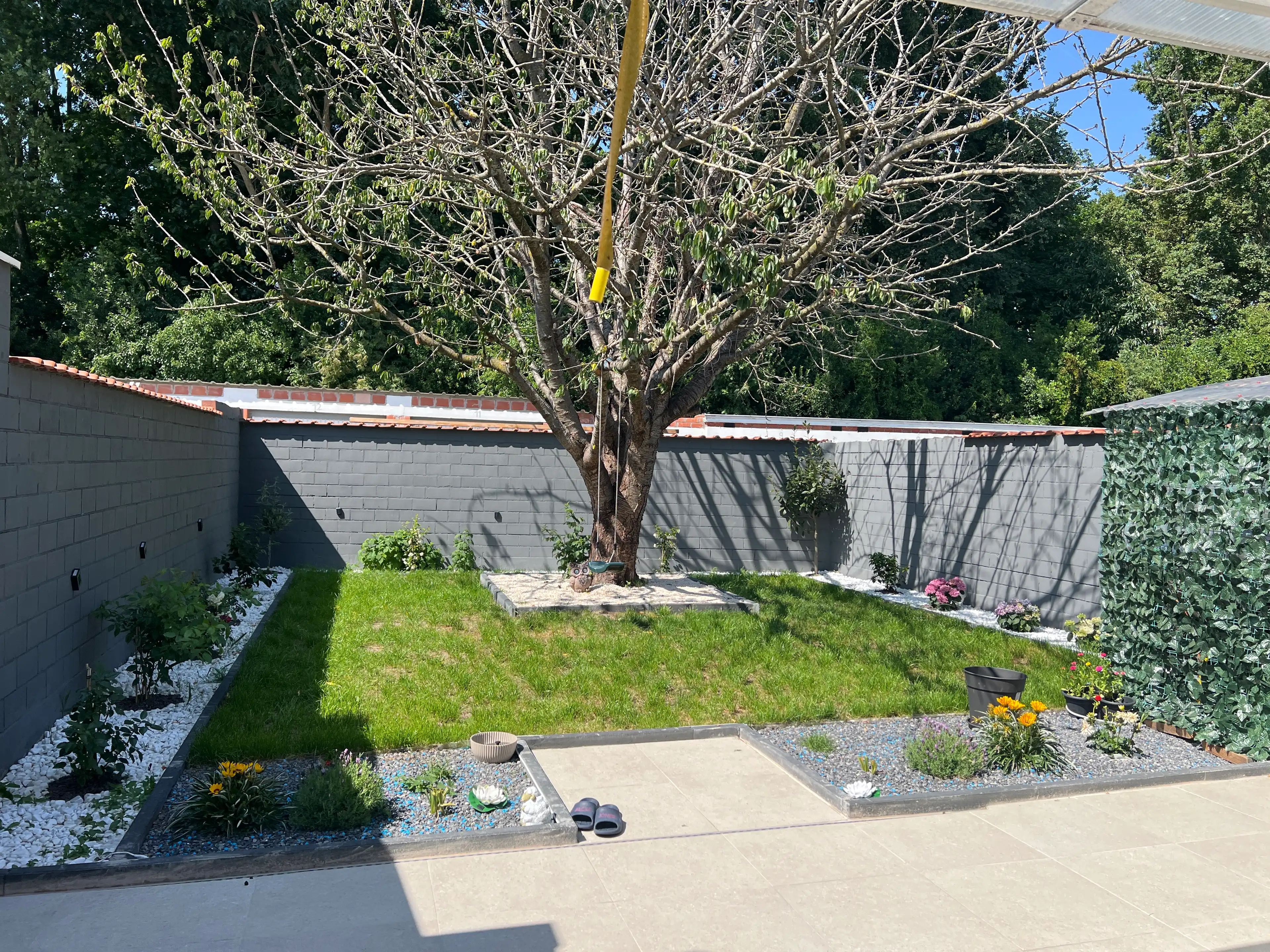 image-15