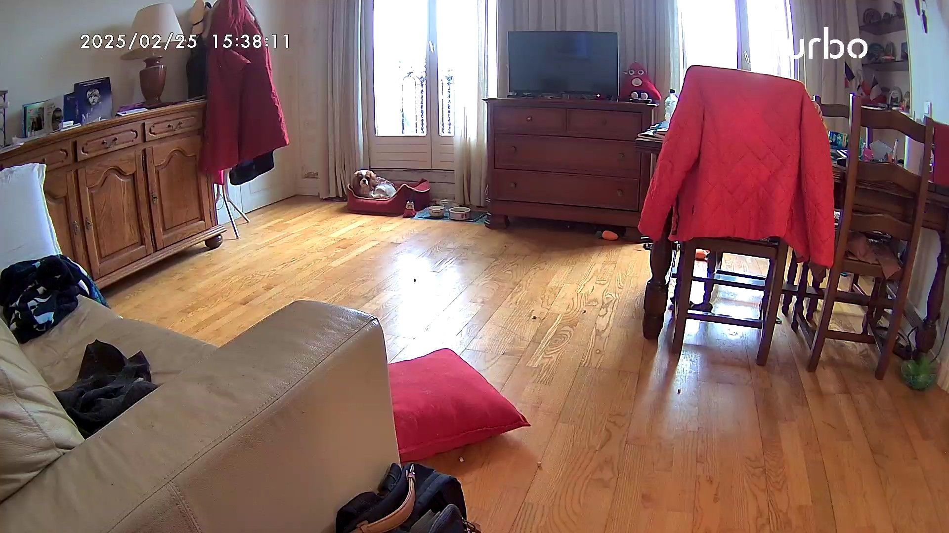 image-14