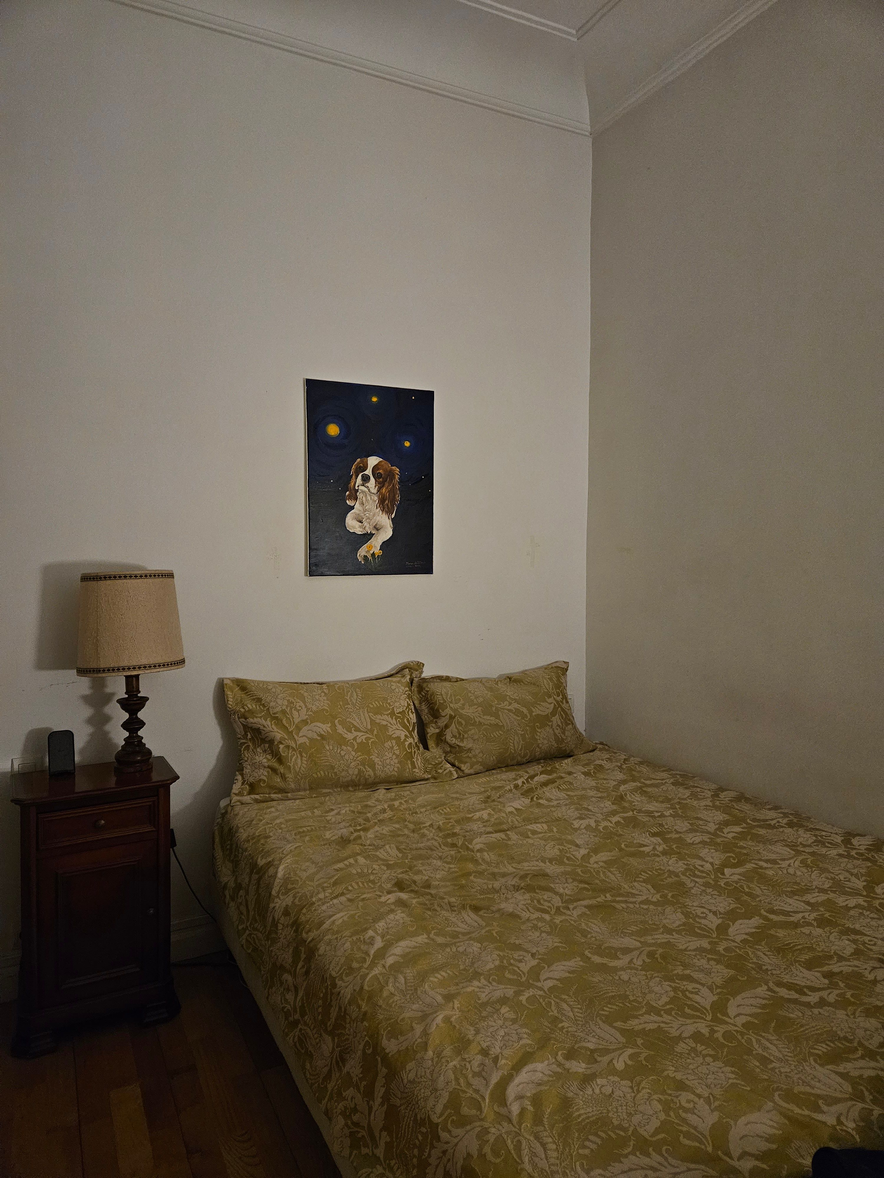 image-13