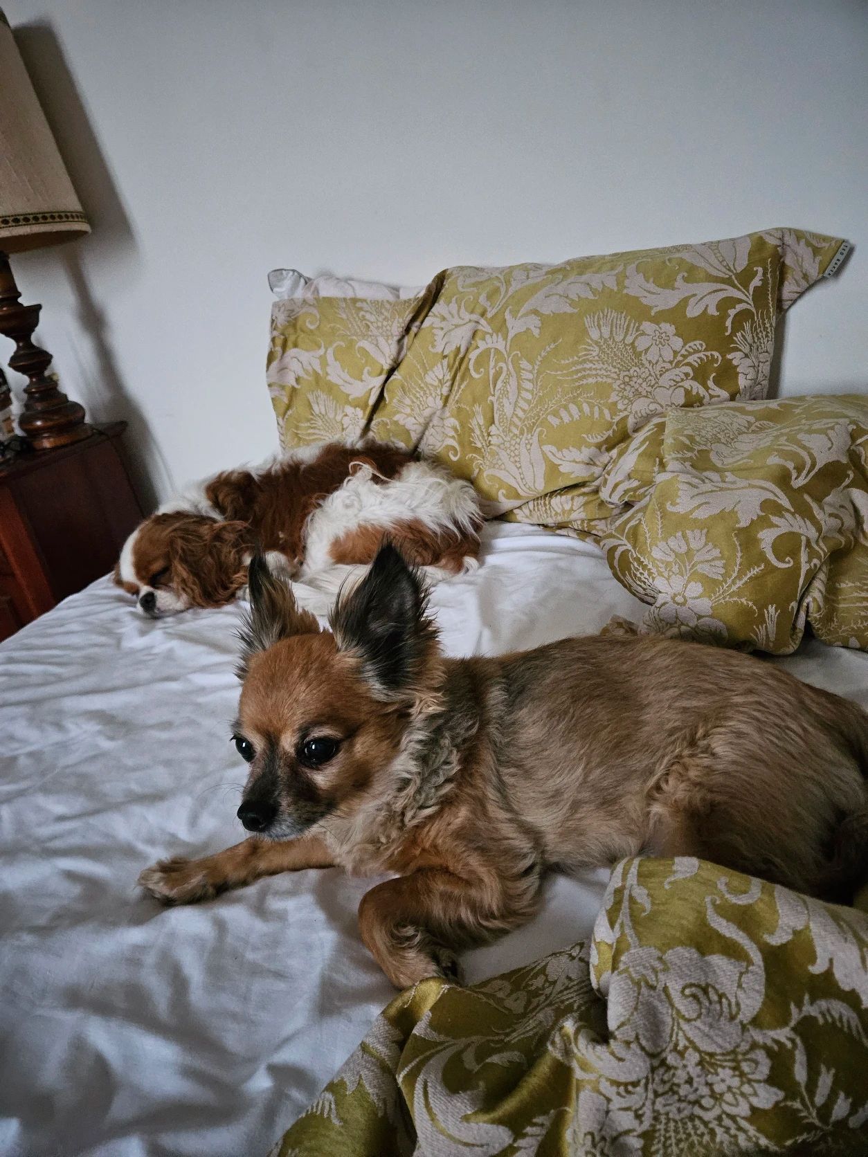 image-11