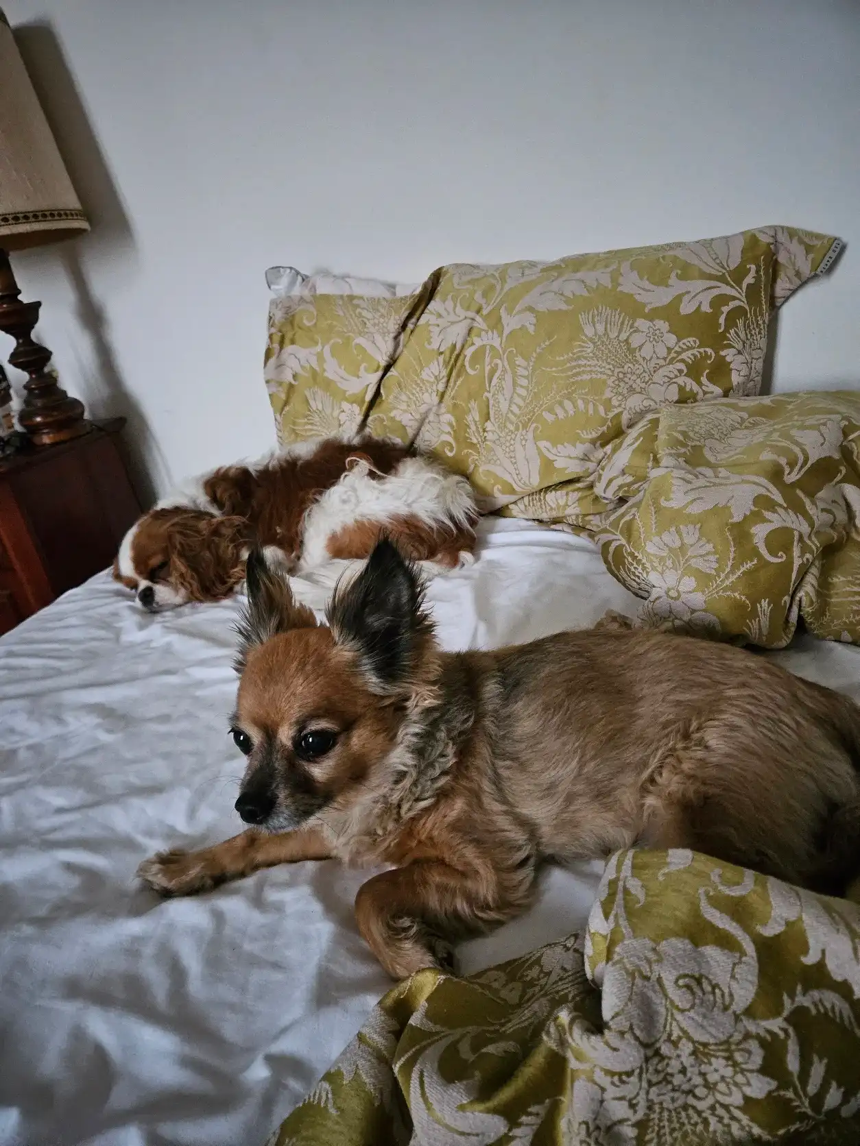 image-11