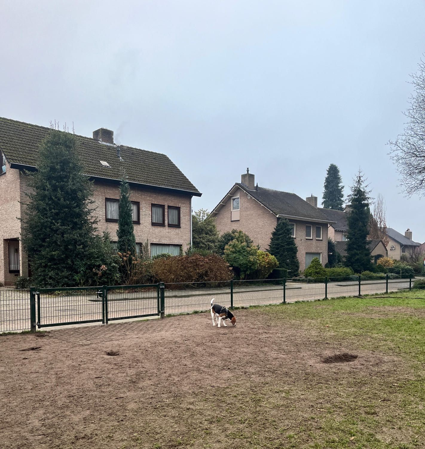 image-18