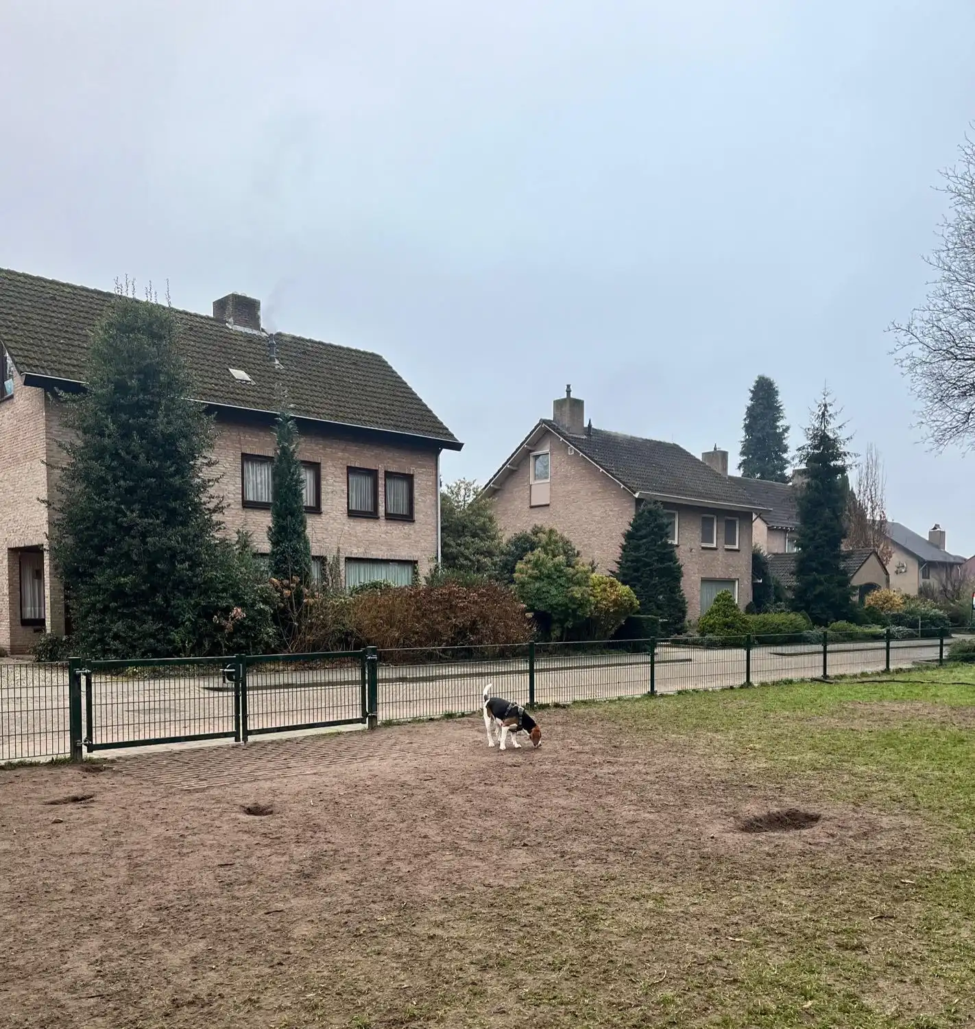image-18