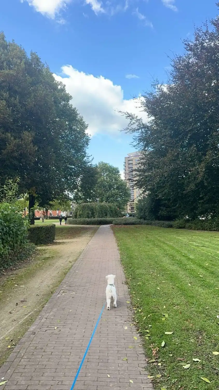 image-13