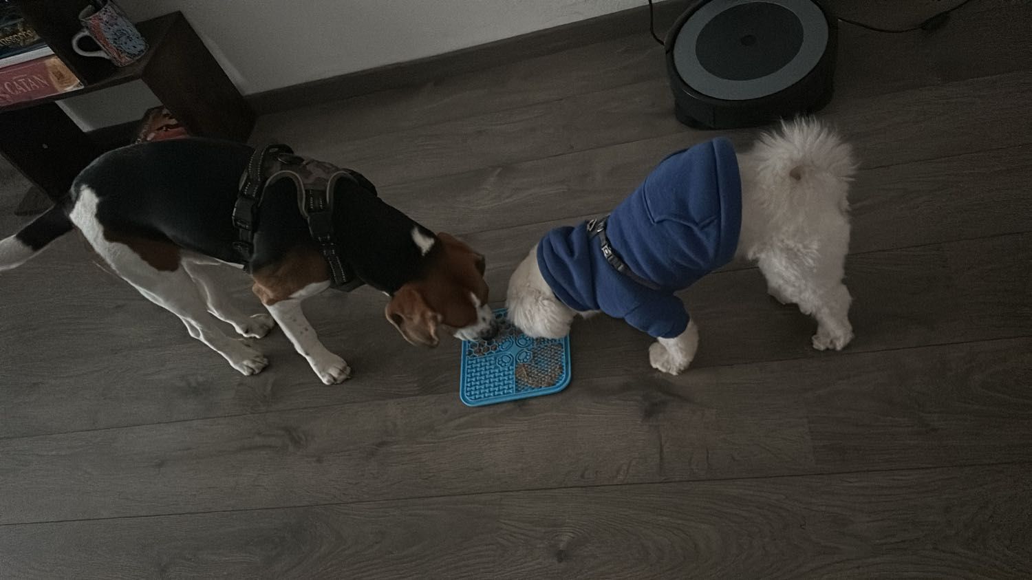 image-14