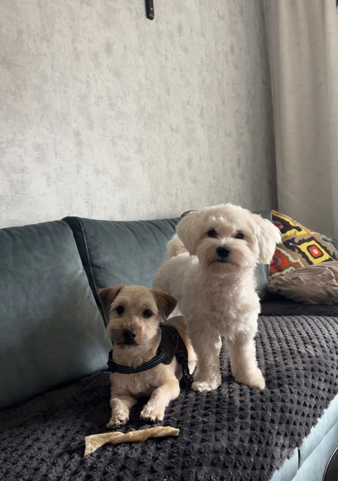 image-20